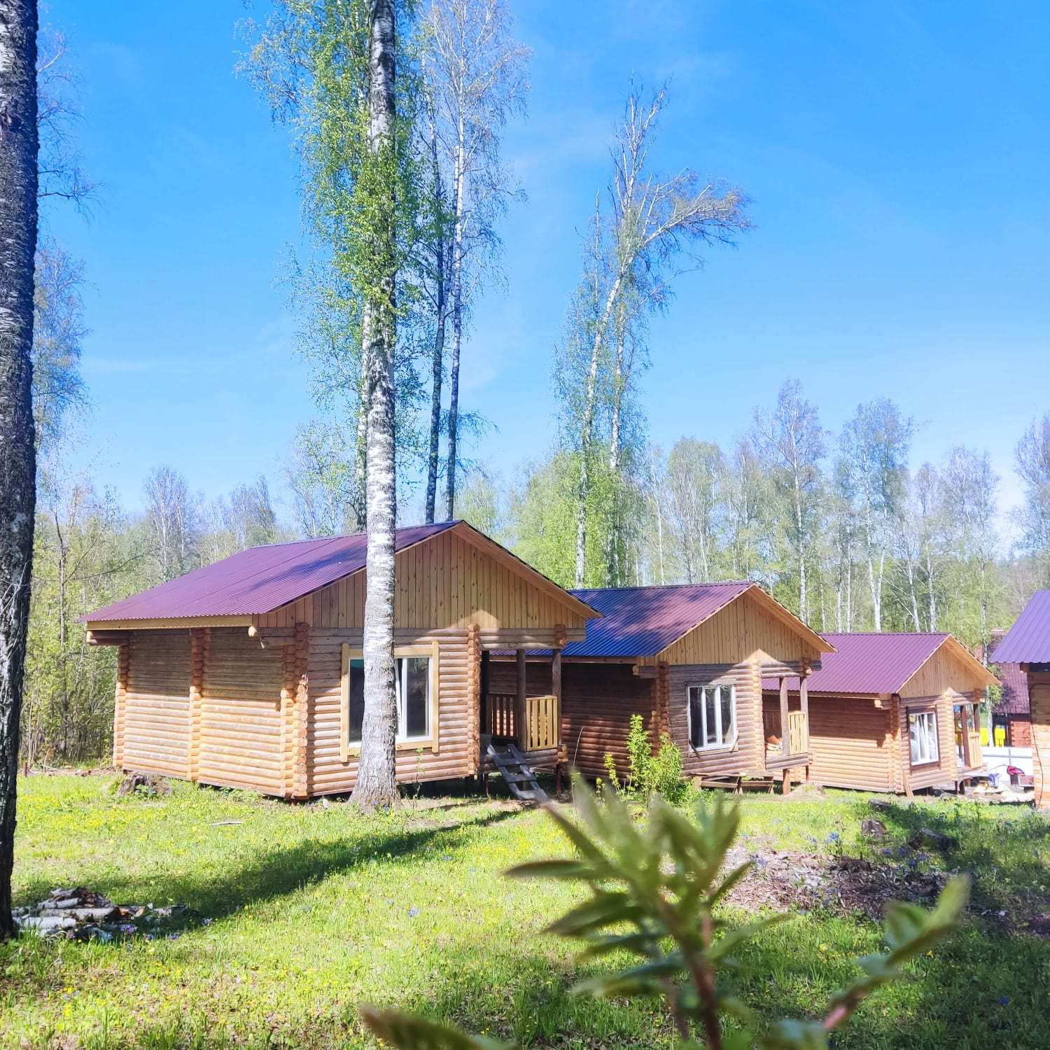 Фото Банный край