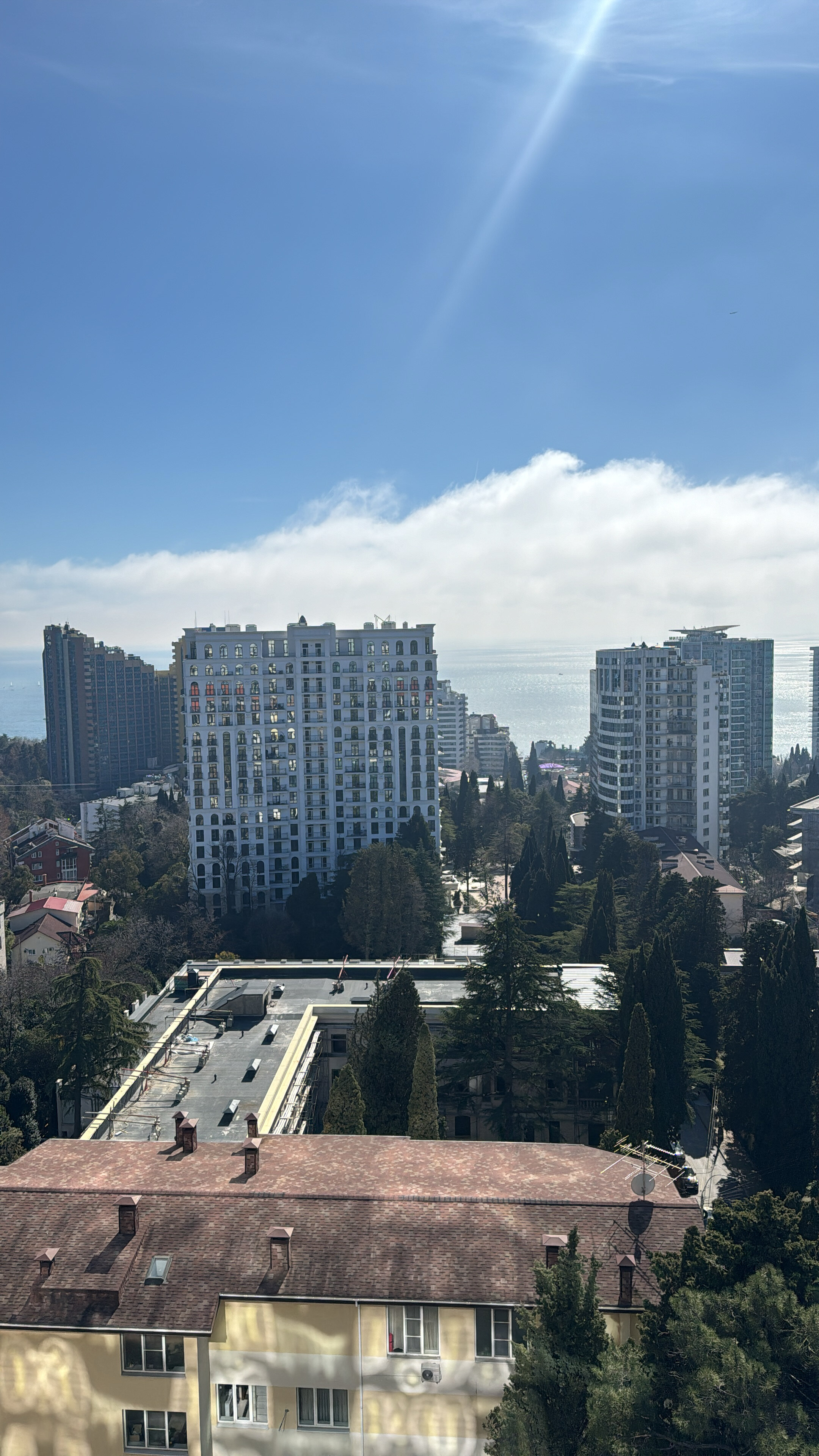 Фото Marisol Premium