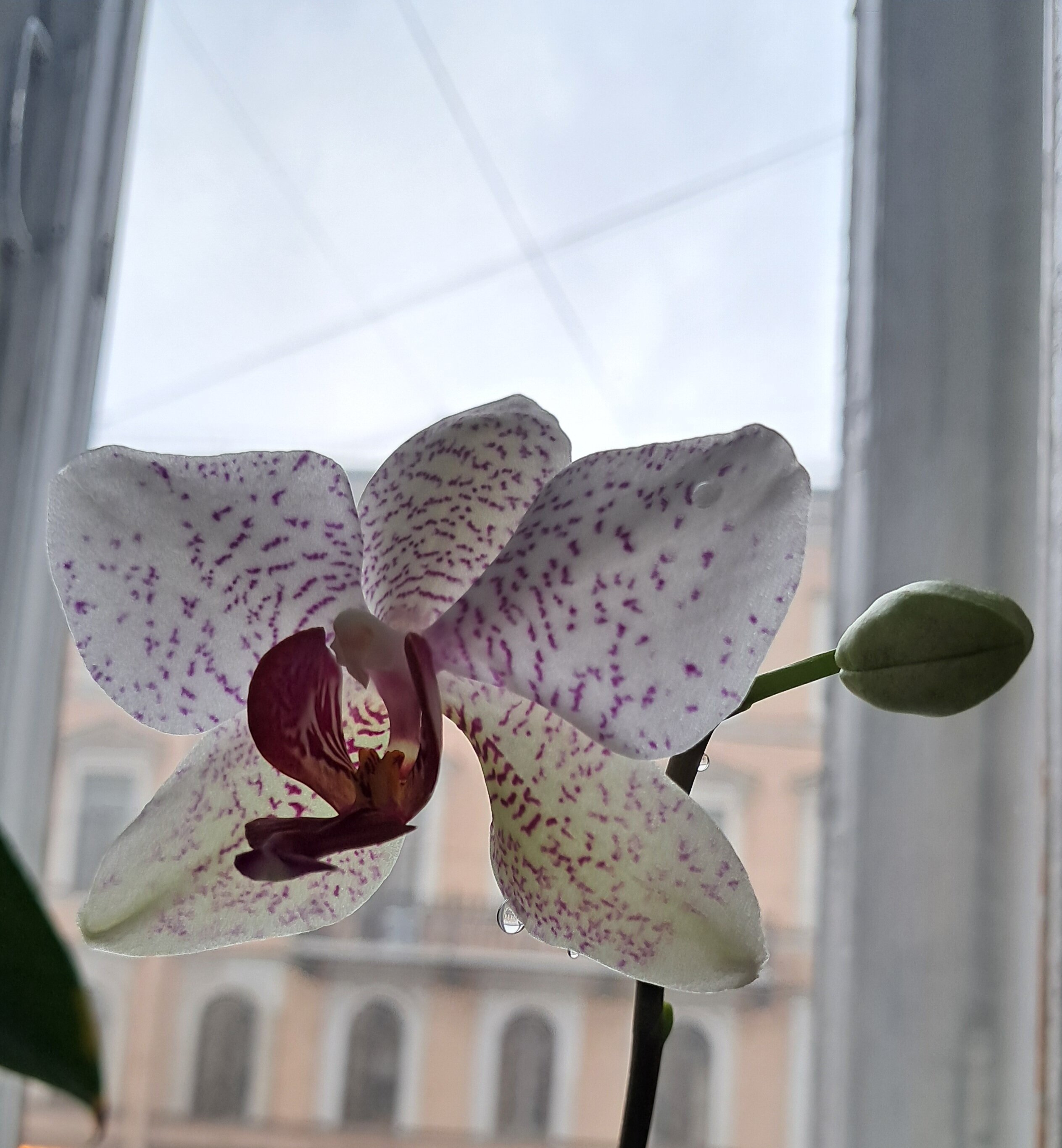 Фото Коммуналка