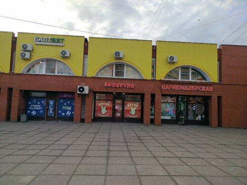 Ұзын бойлы, сымбатты қыздармен порно