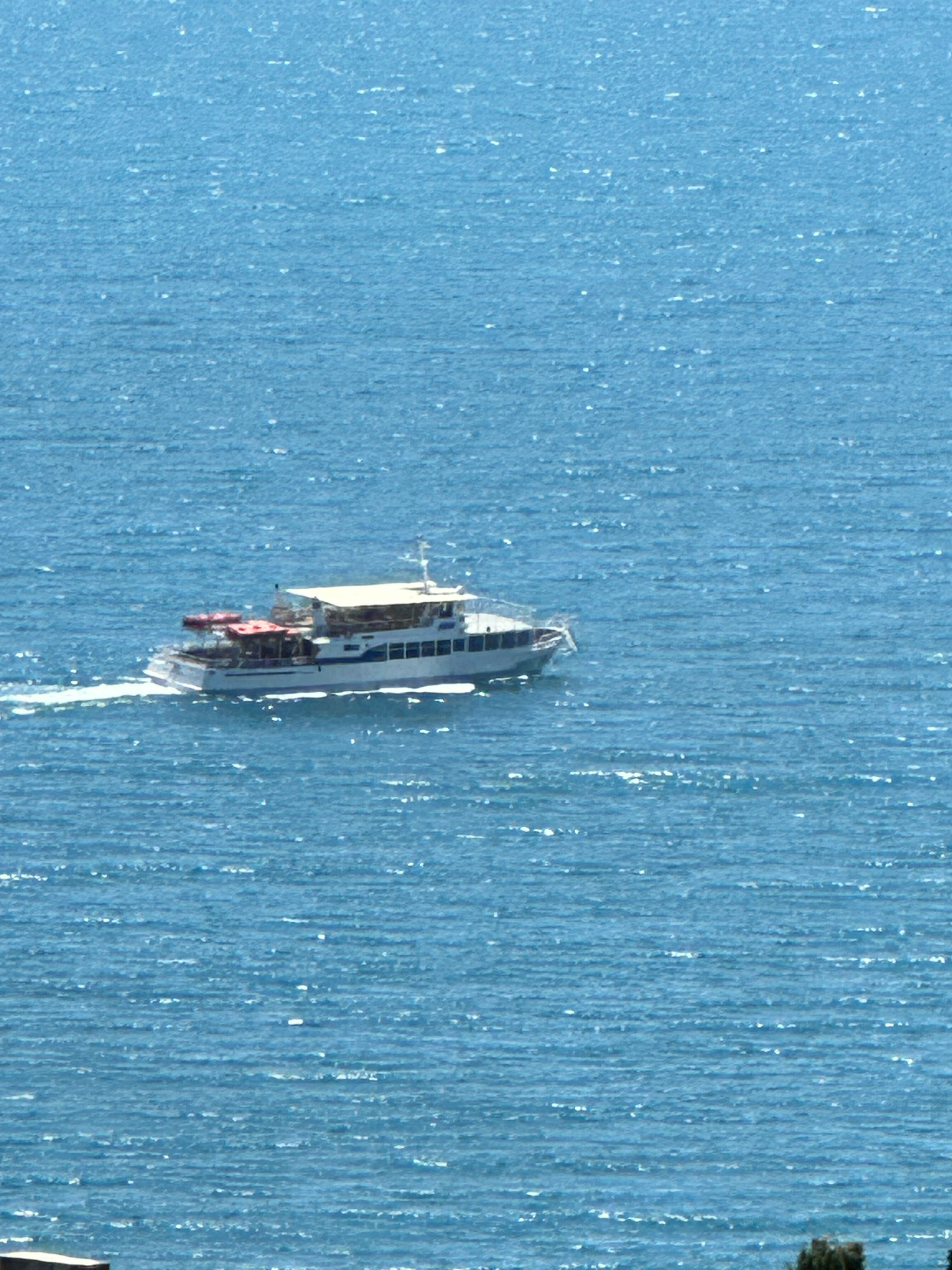 Фото Климентина