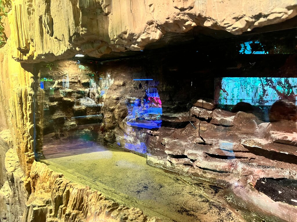 Acuarios Emaar Aquarium & Underwater Zoo, , foto