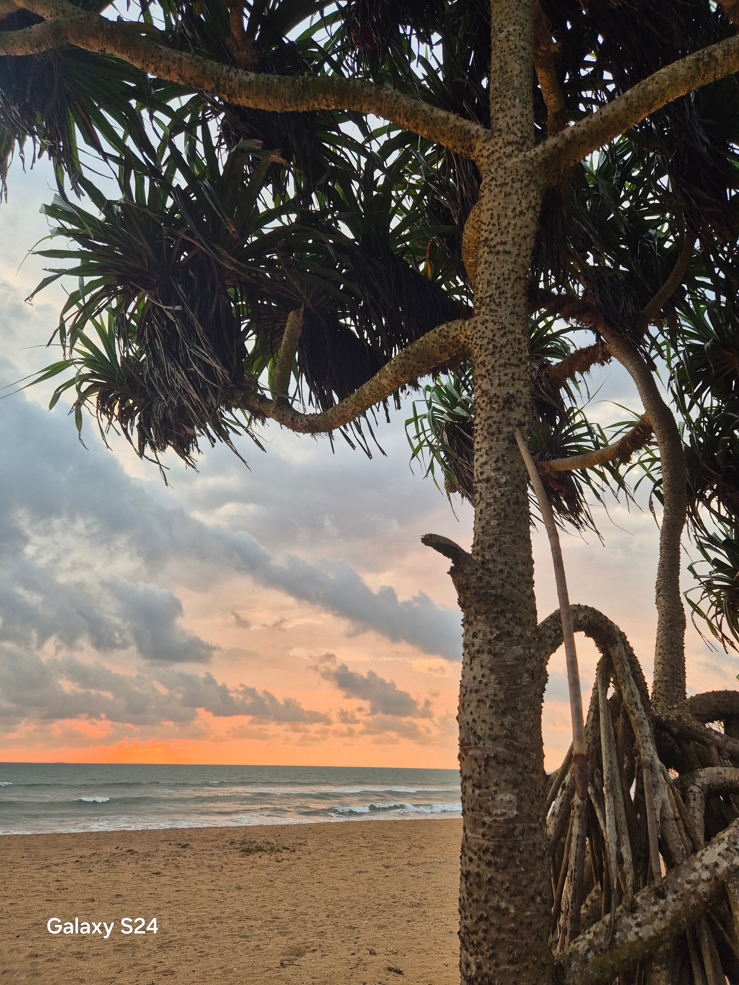 Фото Grand Beach