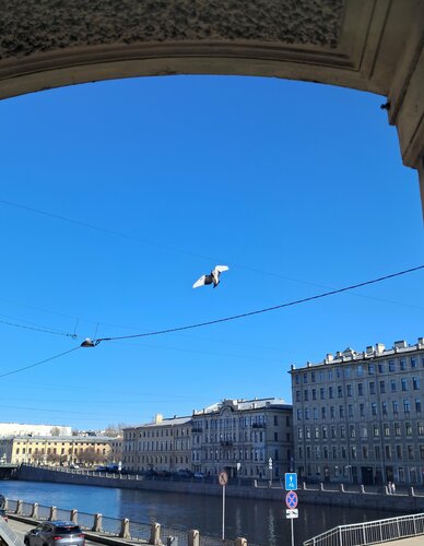 Гостевой дом SwissSTAR в Санкт-Петербурге
