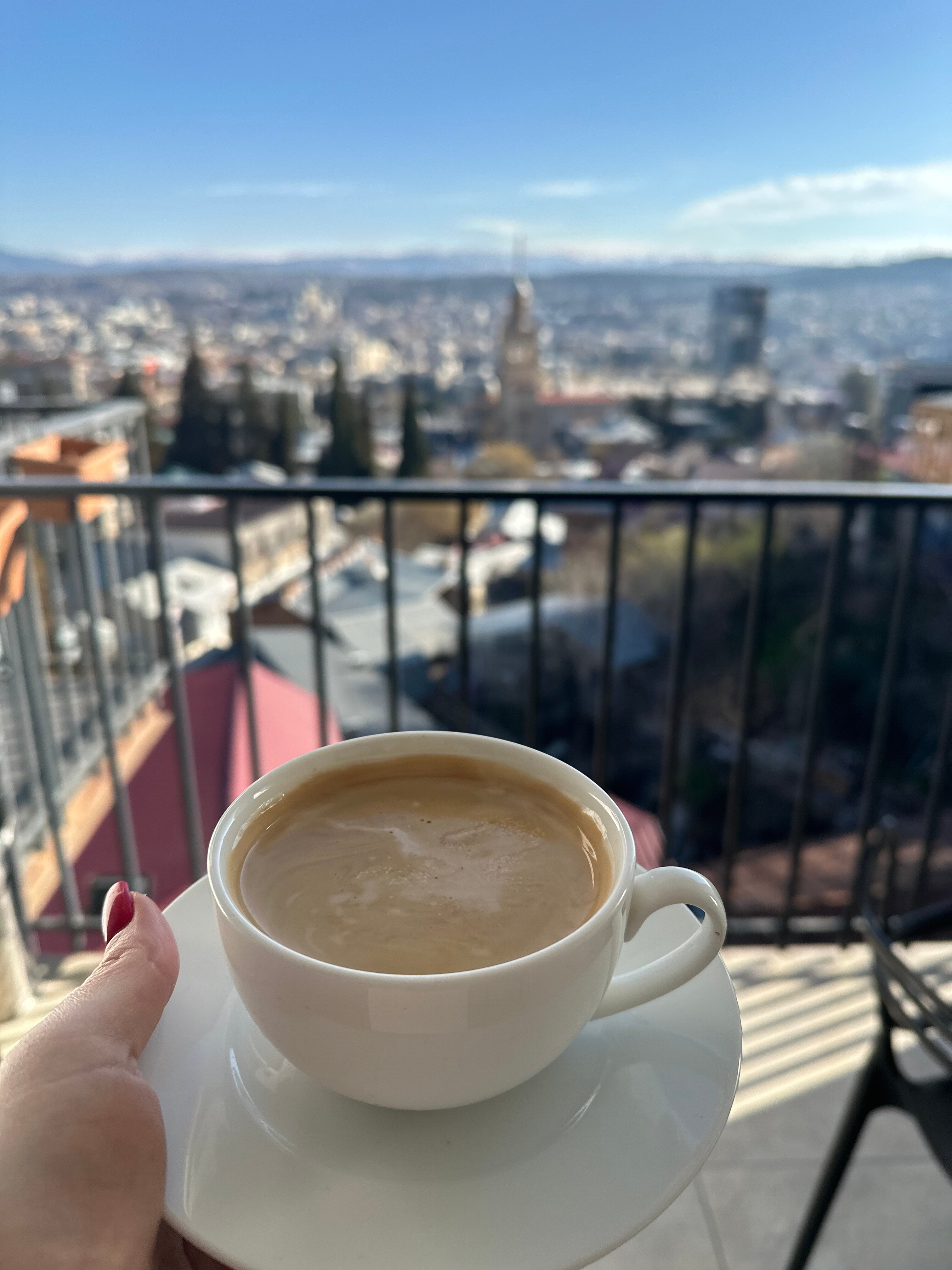 Фото Tbilisi View Hotel