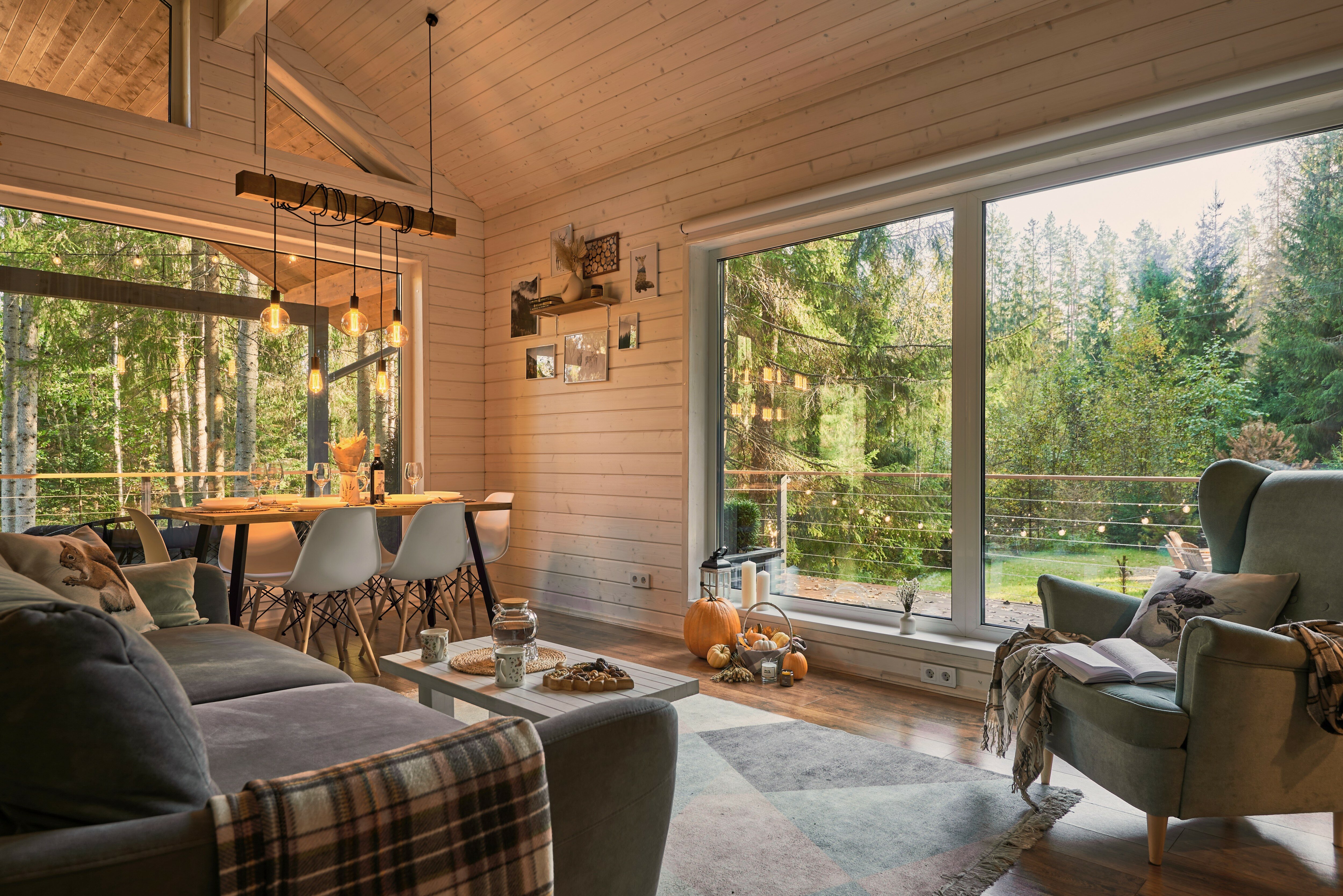 Фото Fox in forest