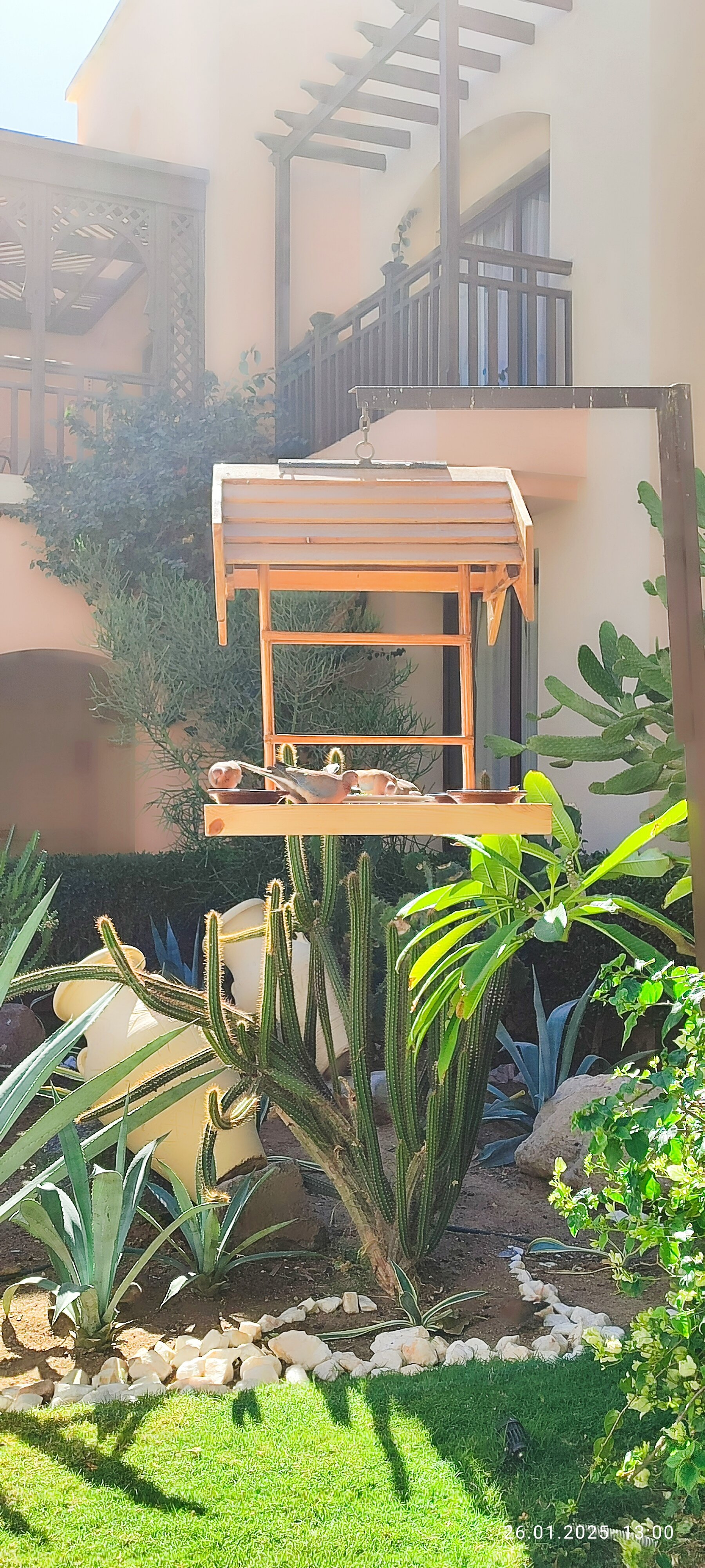 Фото Джаз Макади Сарайя Палмс