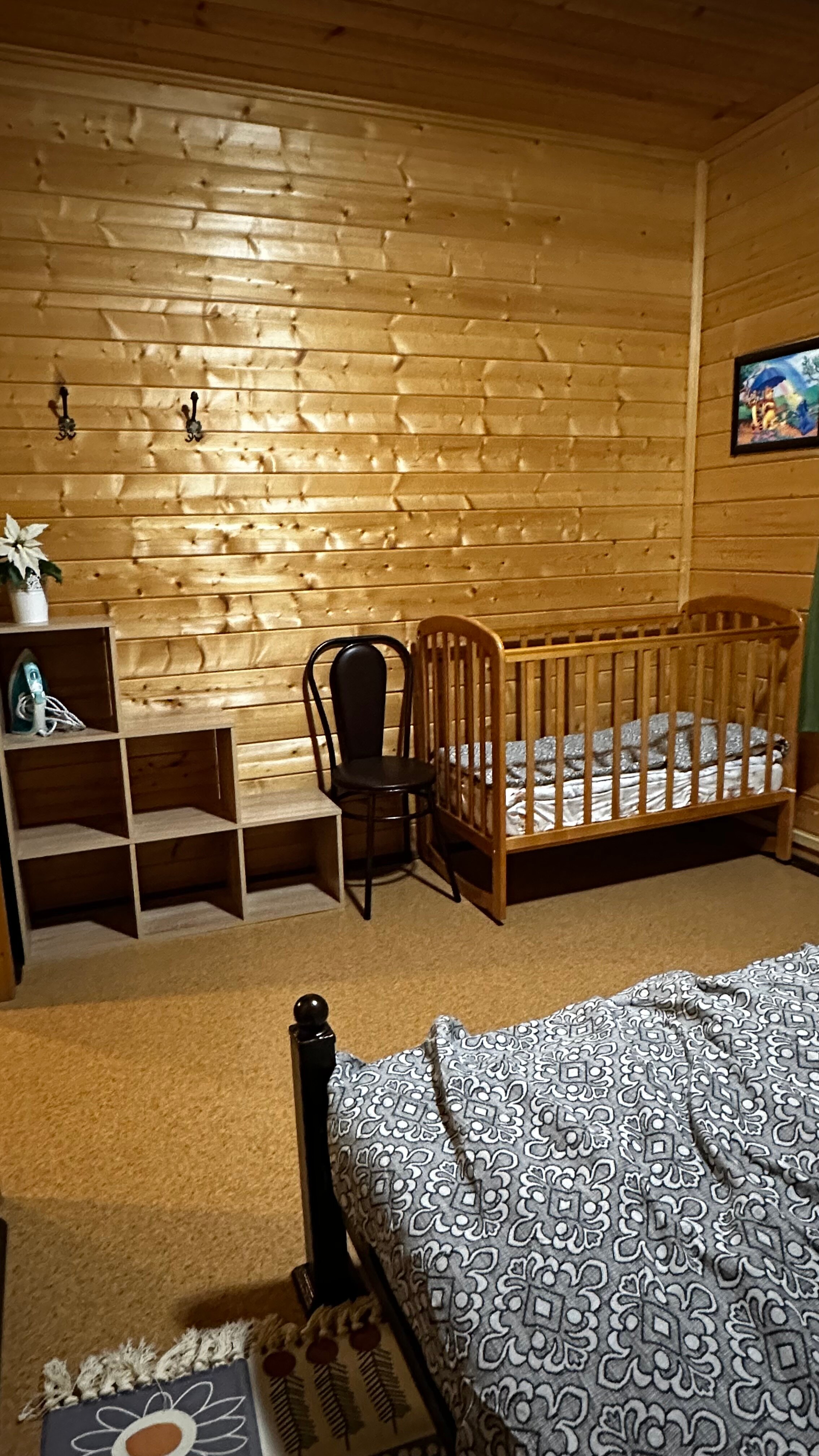 Фото Петровский берег