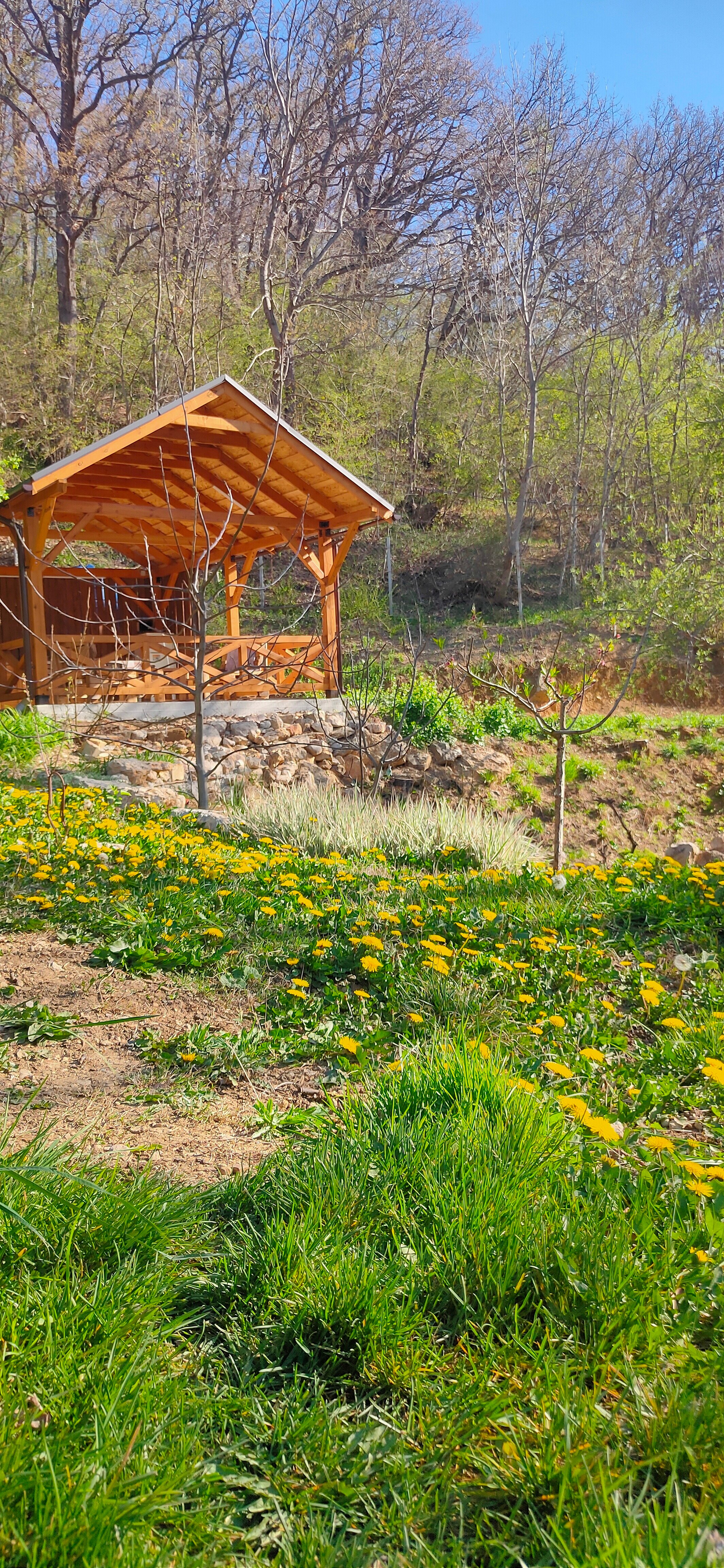 Фото Купольный домик в горах Крыма