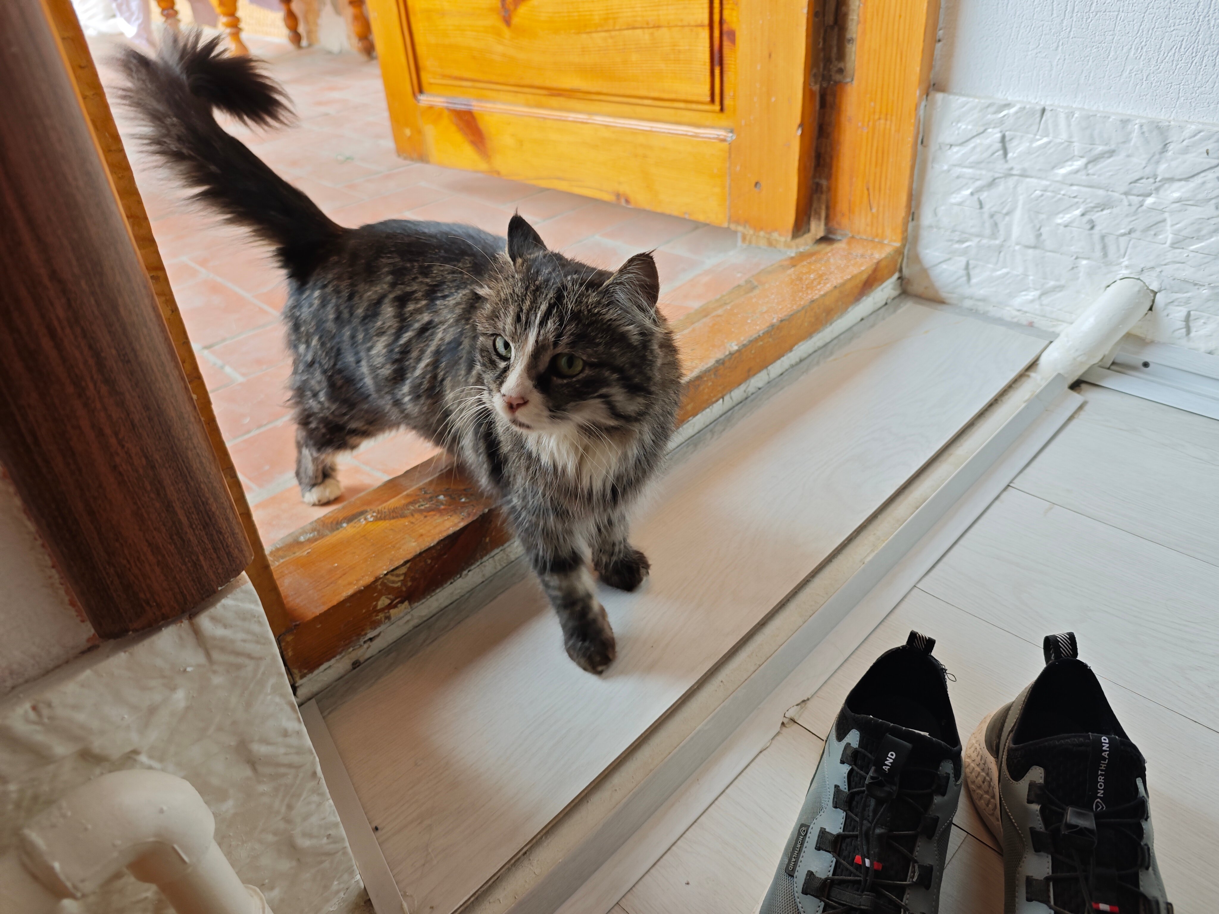 Фото Гранд Нодирбек