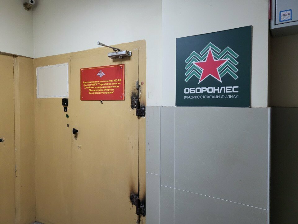 Silvicultura, silvicultura Управление Лесного Хозяйства и Природопользования, , foto