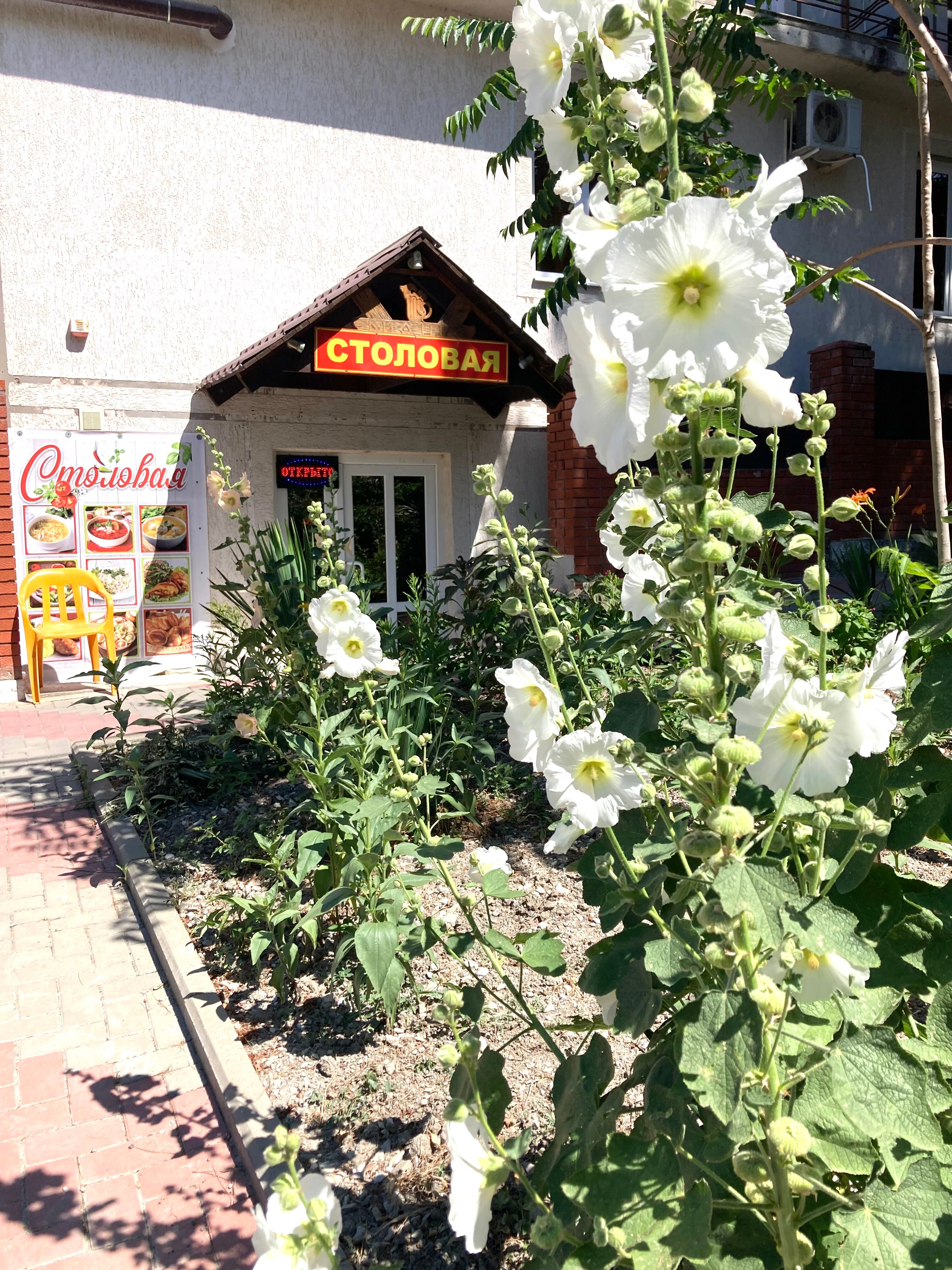 Фото Полина