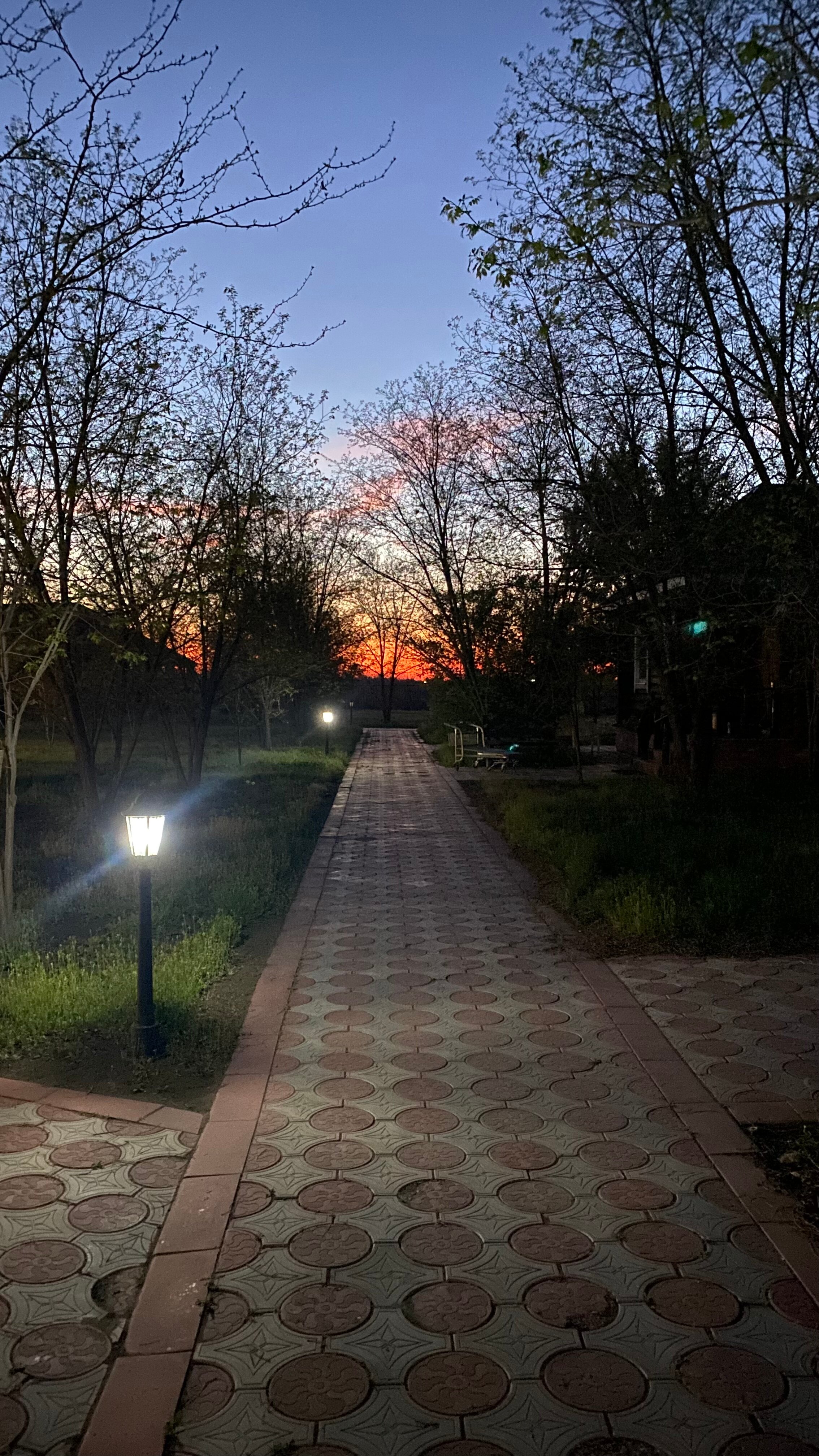 Фото Высокий берег