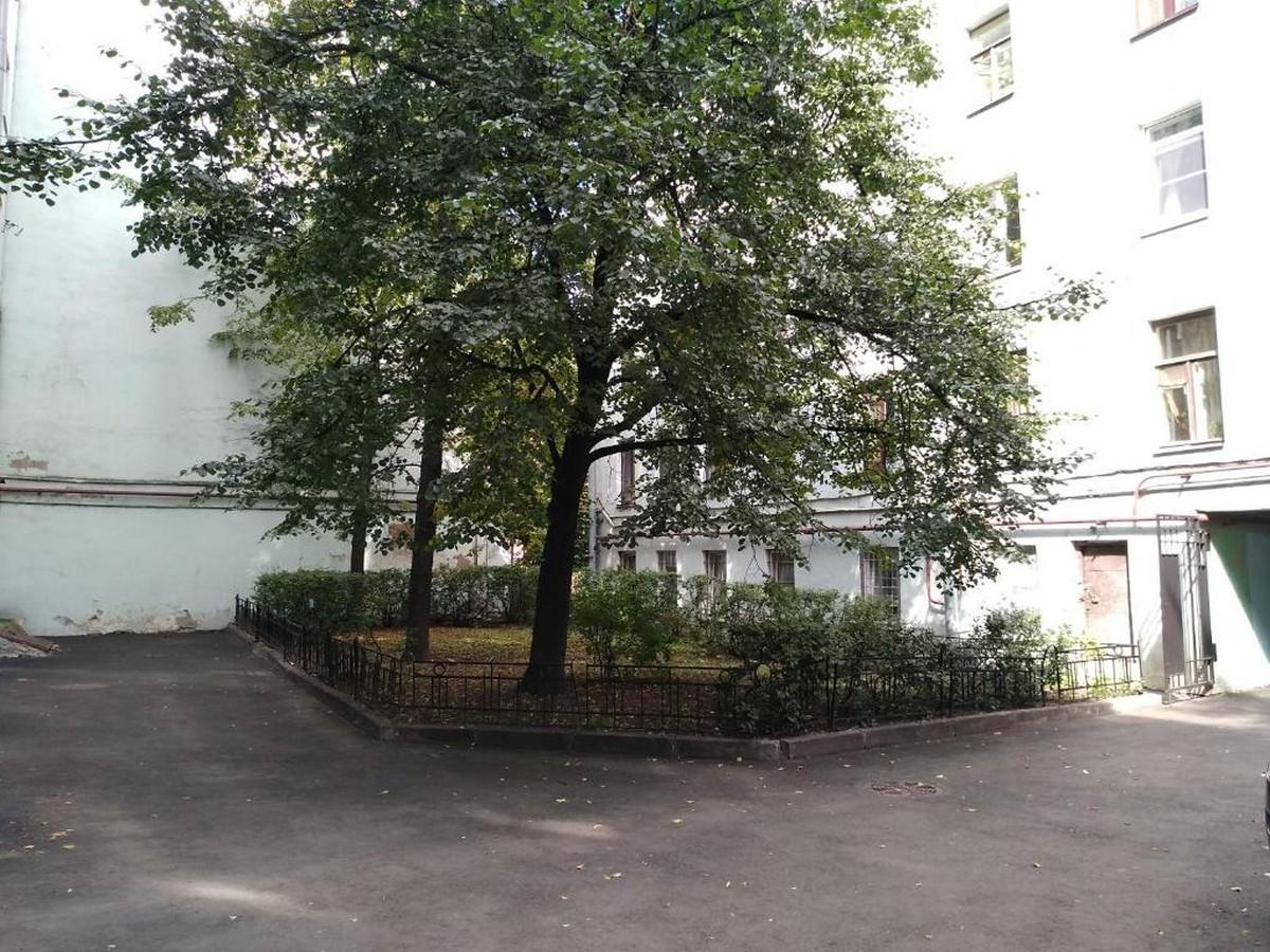 Фото Mohito Hostel