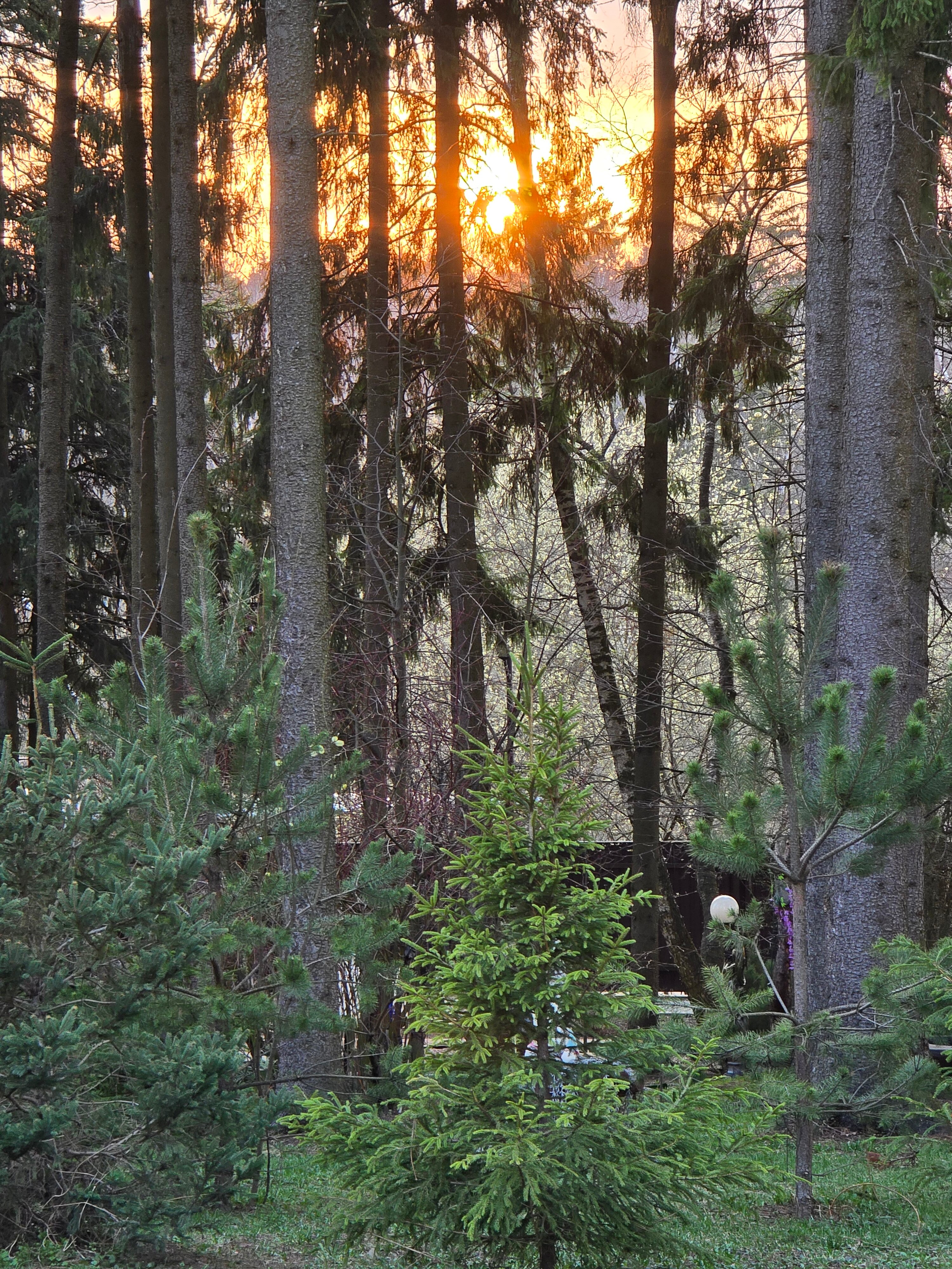 Фото Зеленый пейзаж