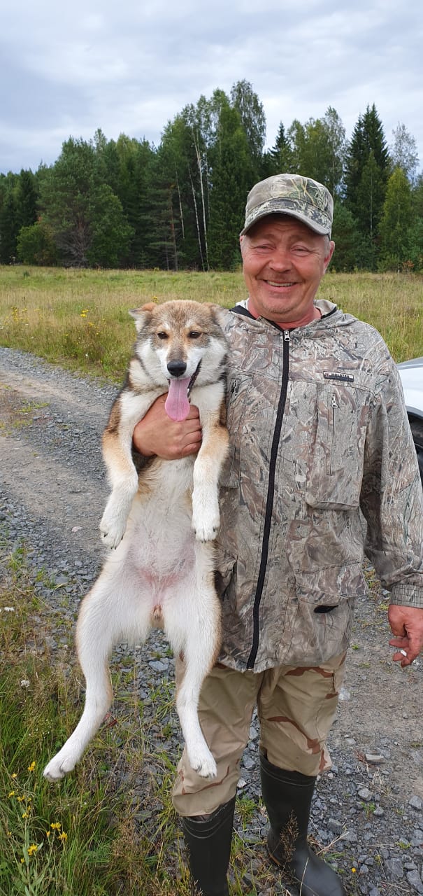 Фото Hunter Paradise