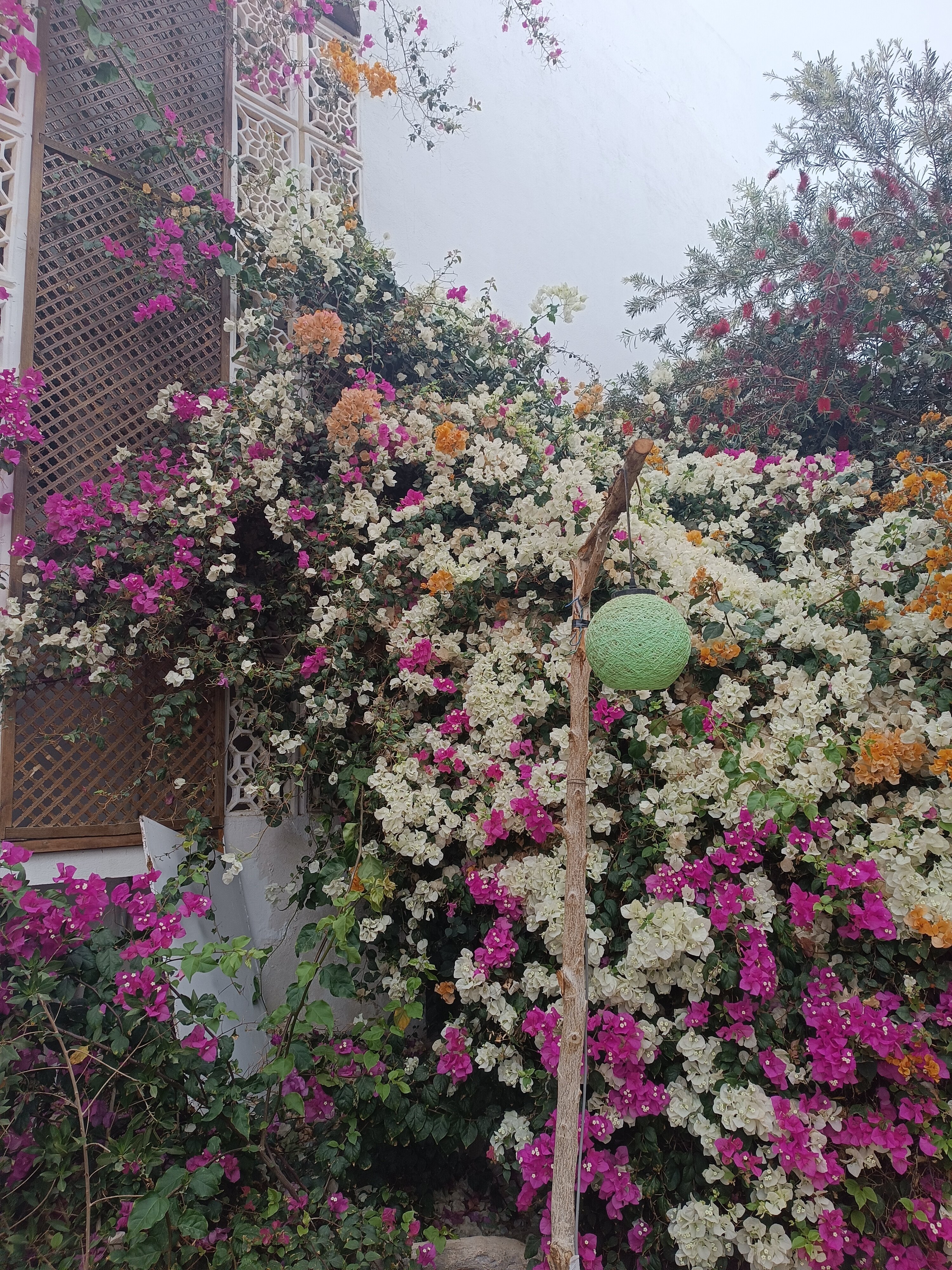 Фото Viking Club Sharm El Sheikh