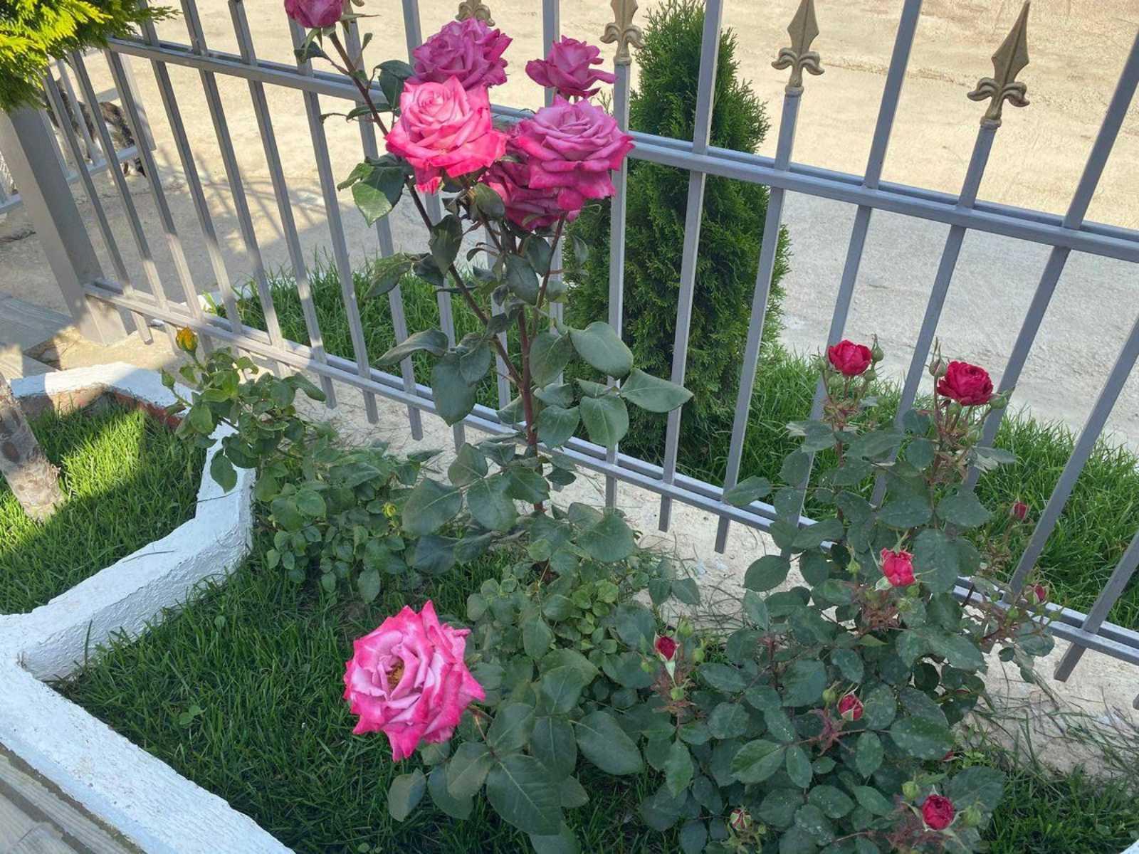 Фото Вилла Мария