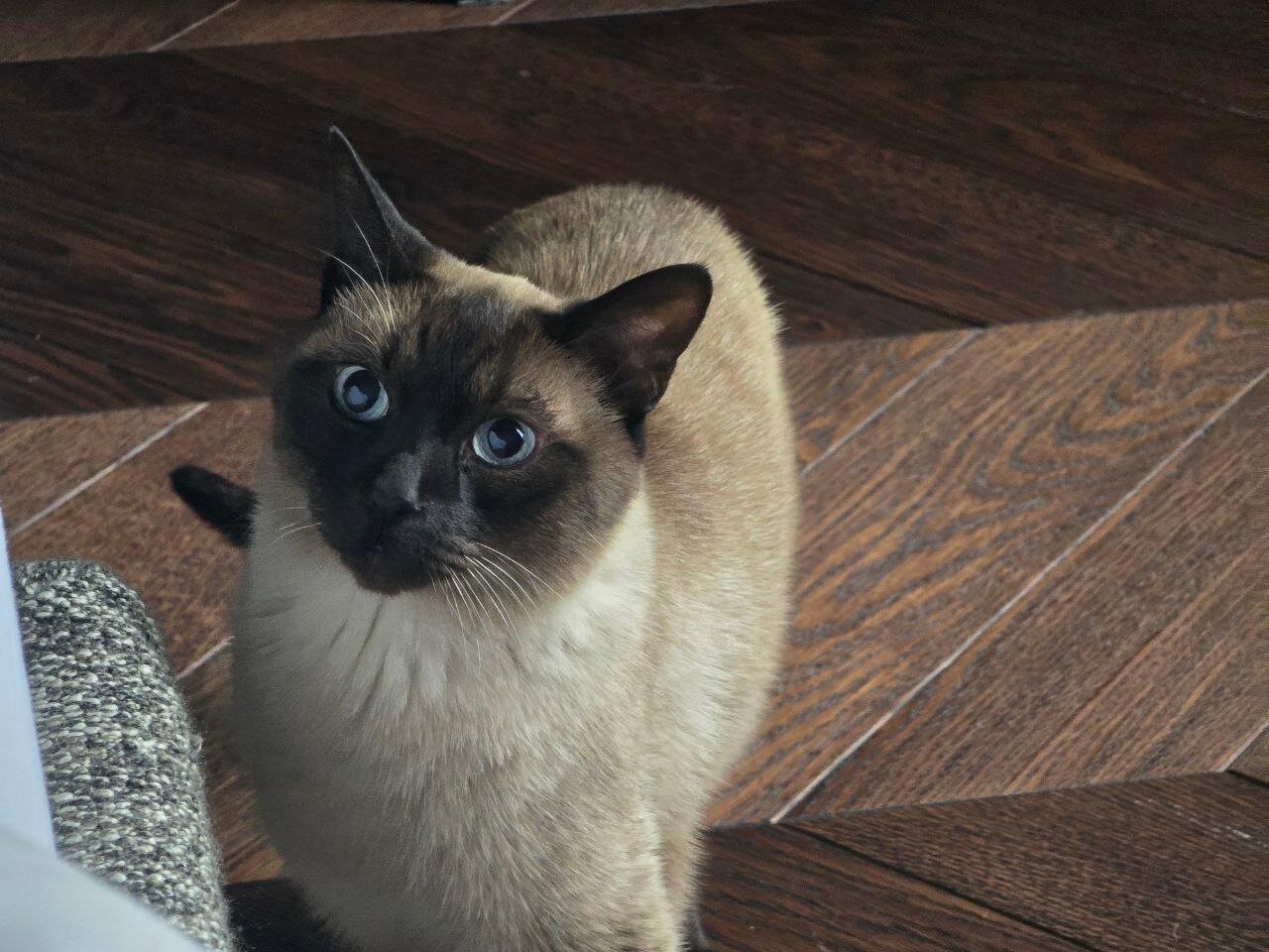 Фото Roka Park Collection