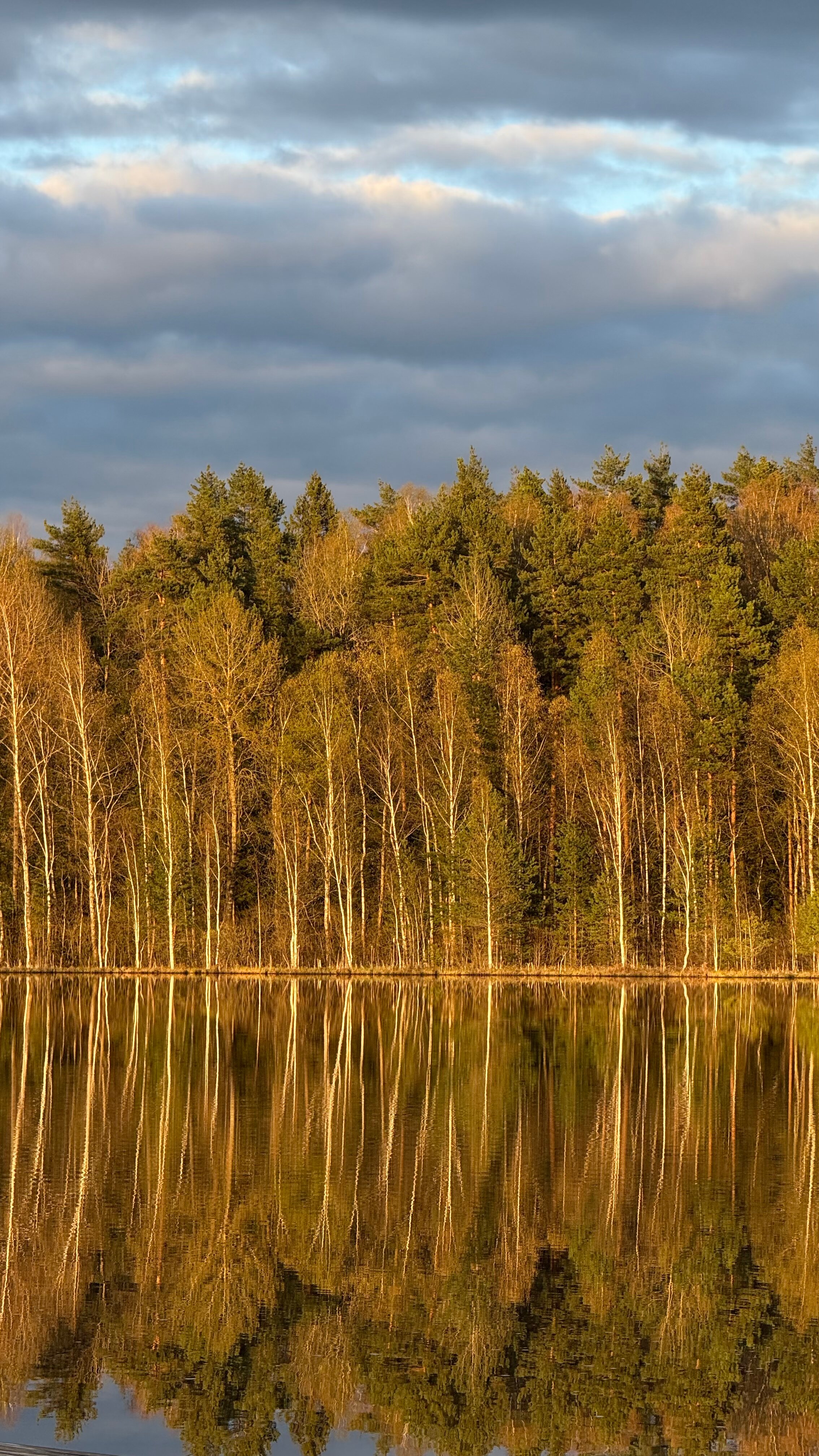 Фото Озеро белых лилий