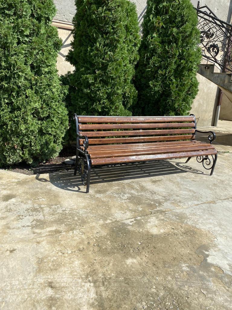 Фото Жасмин