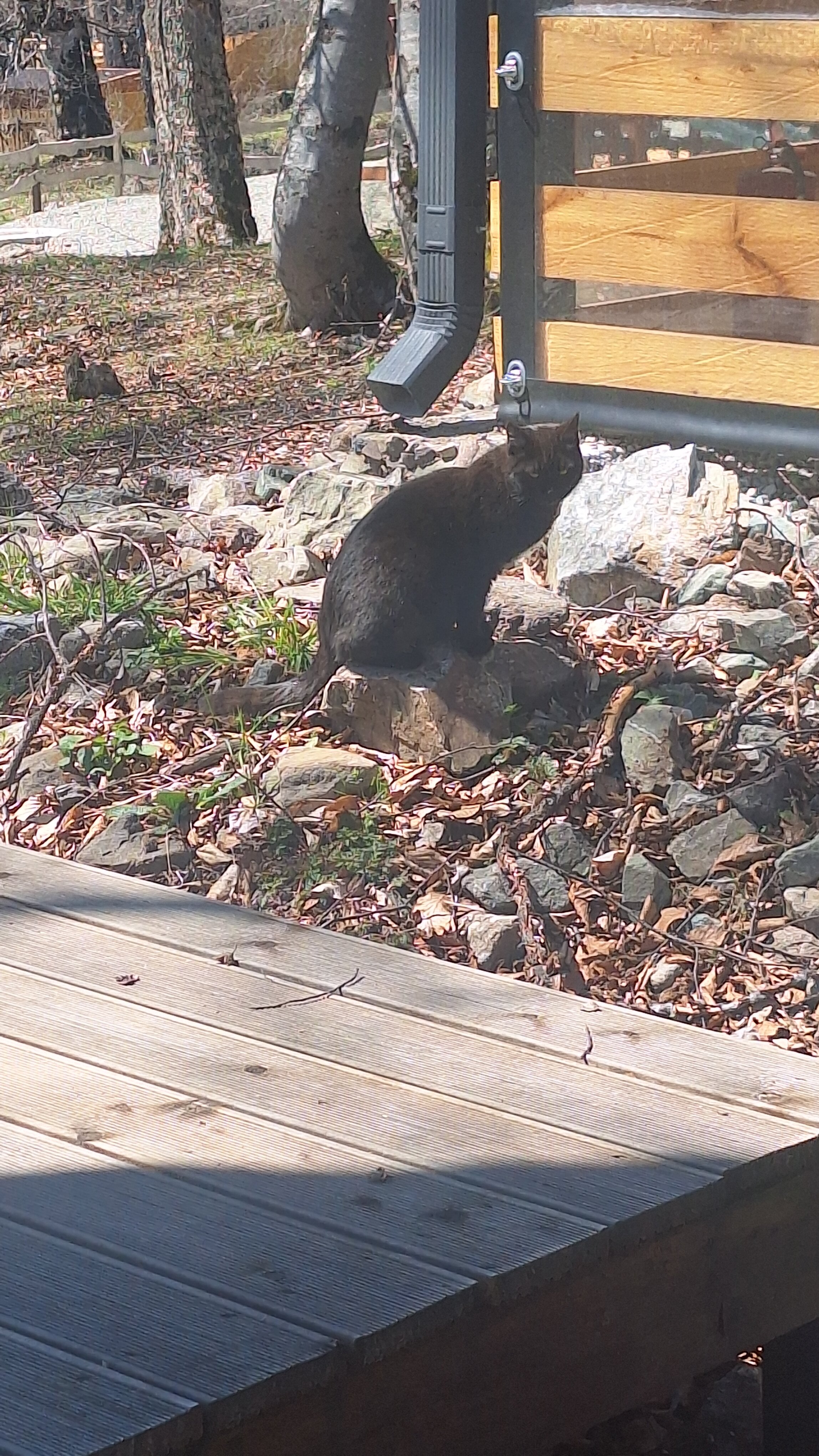 Фото Архыз-Парк