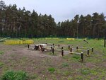 Dog park (Lipetsk, Novolipetsk Microdistrict), dog park