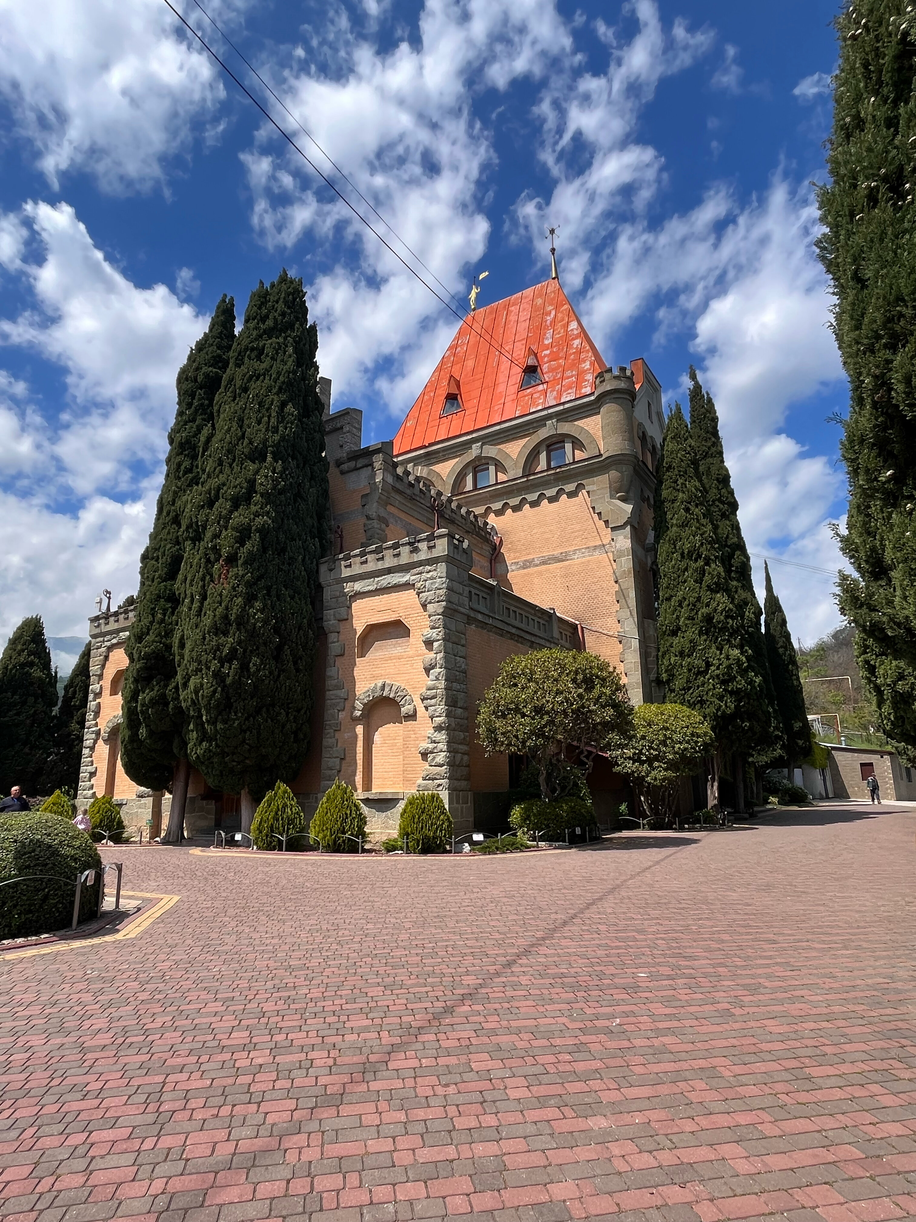 Фото Медуза