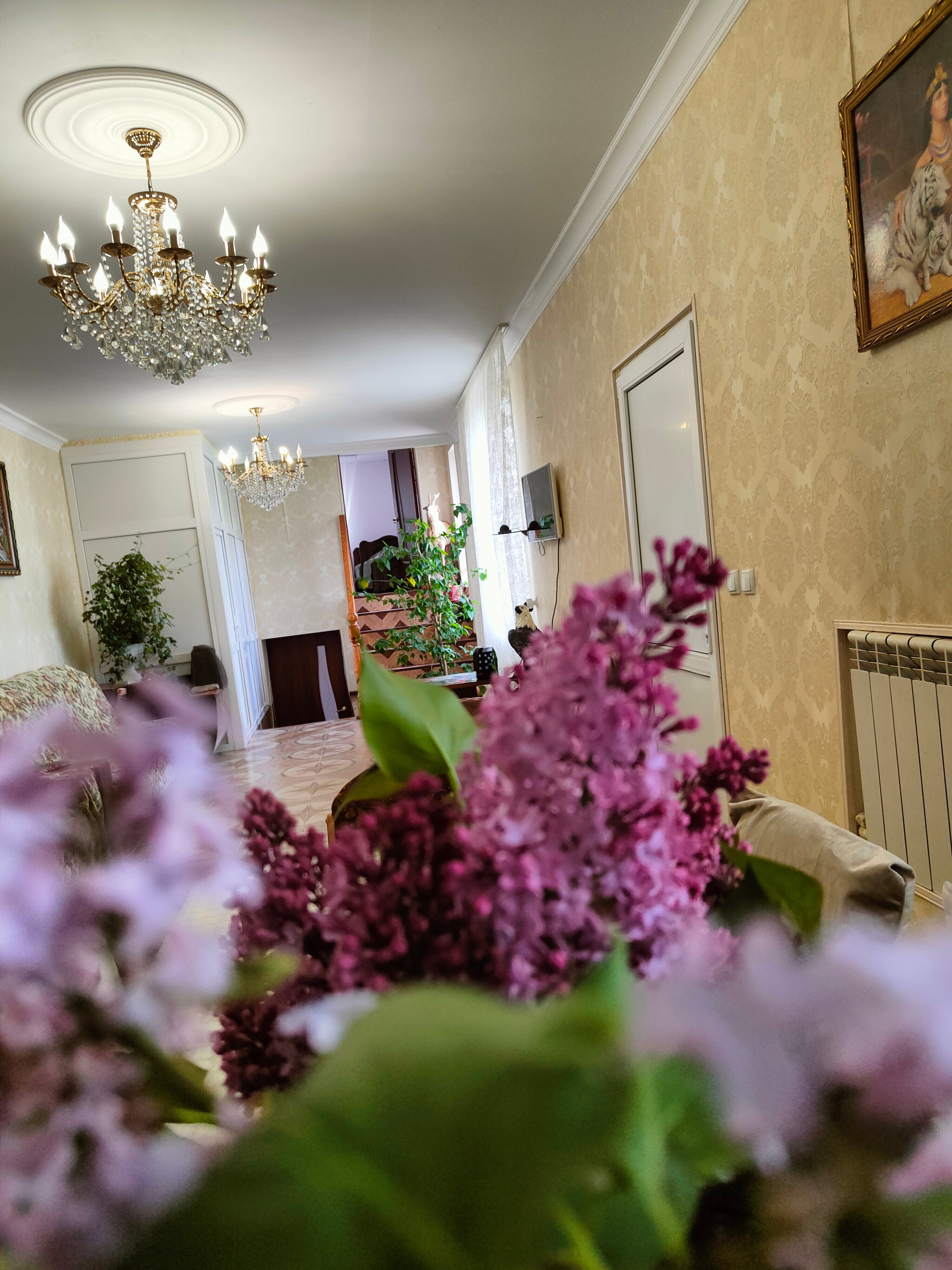 Фото У Володи