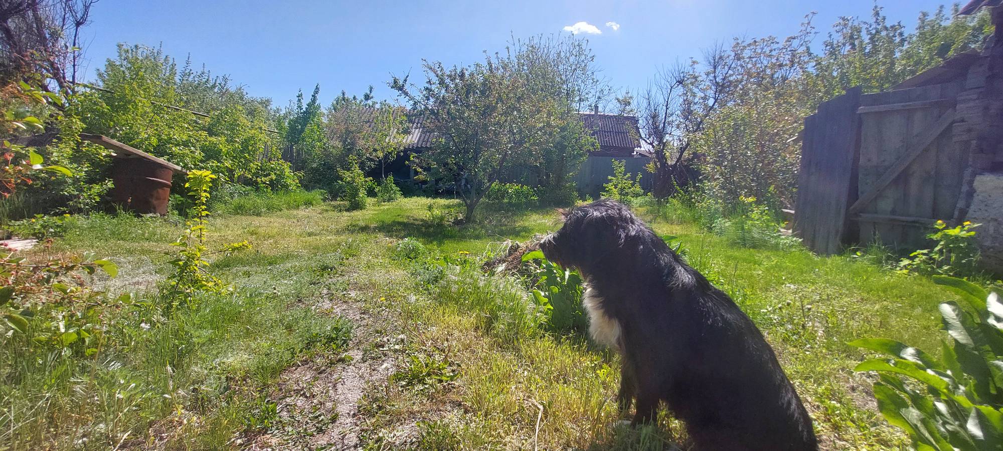 Фото Загородный дом