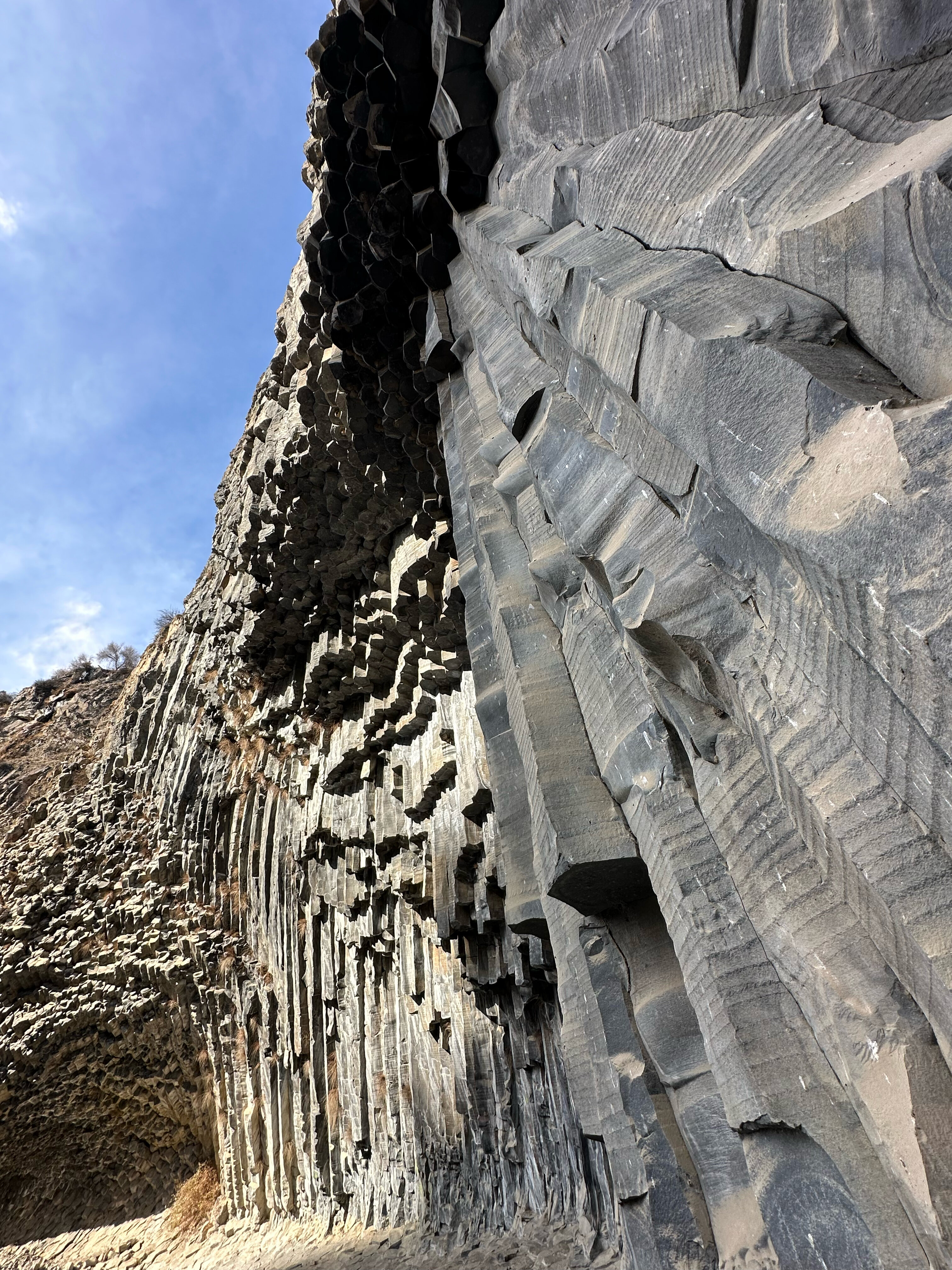 Фото Royal Plaza by Stellar Hotels