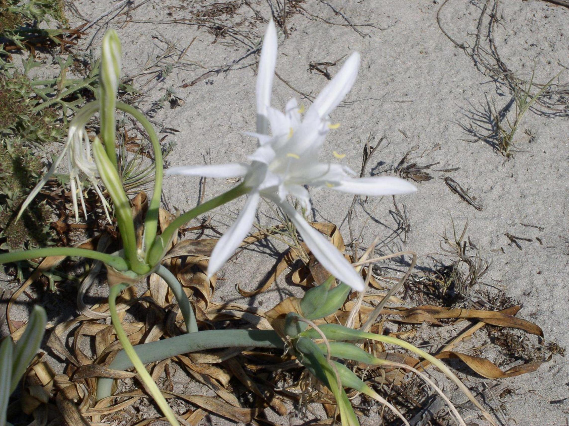 Фото Residence Marina Palace