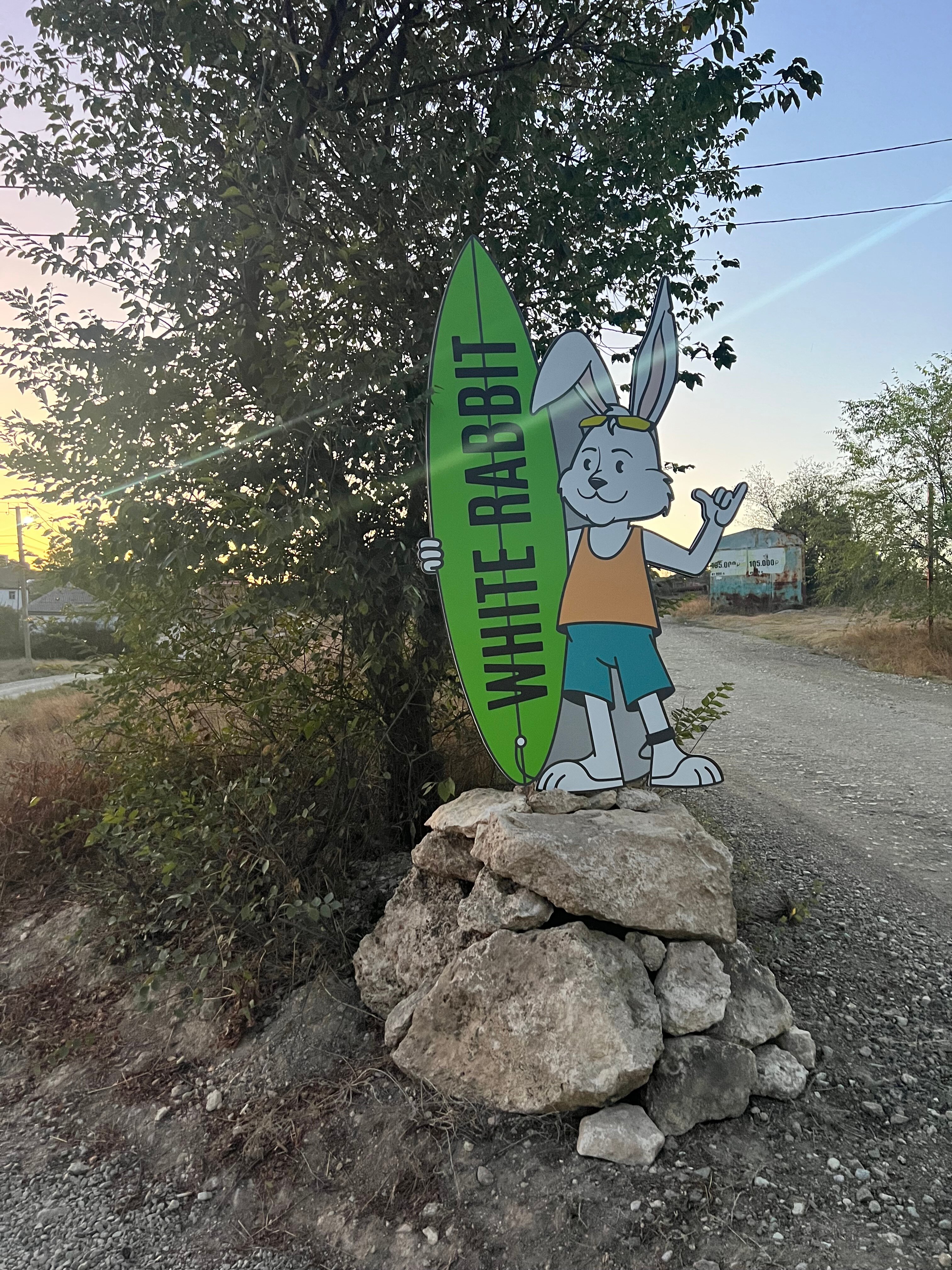 Фото Белый кролик