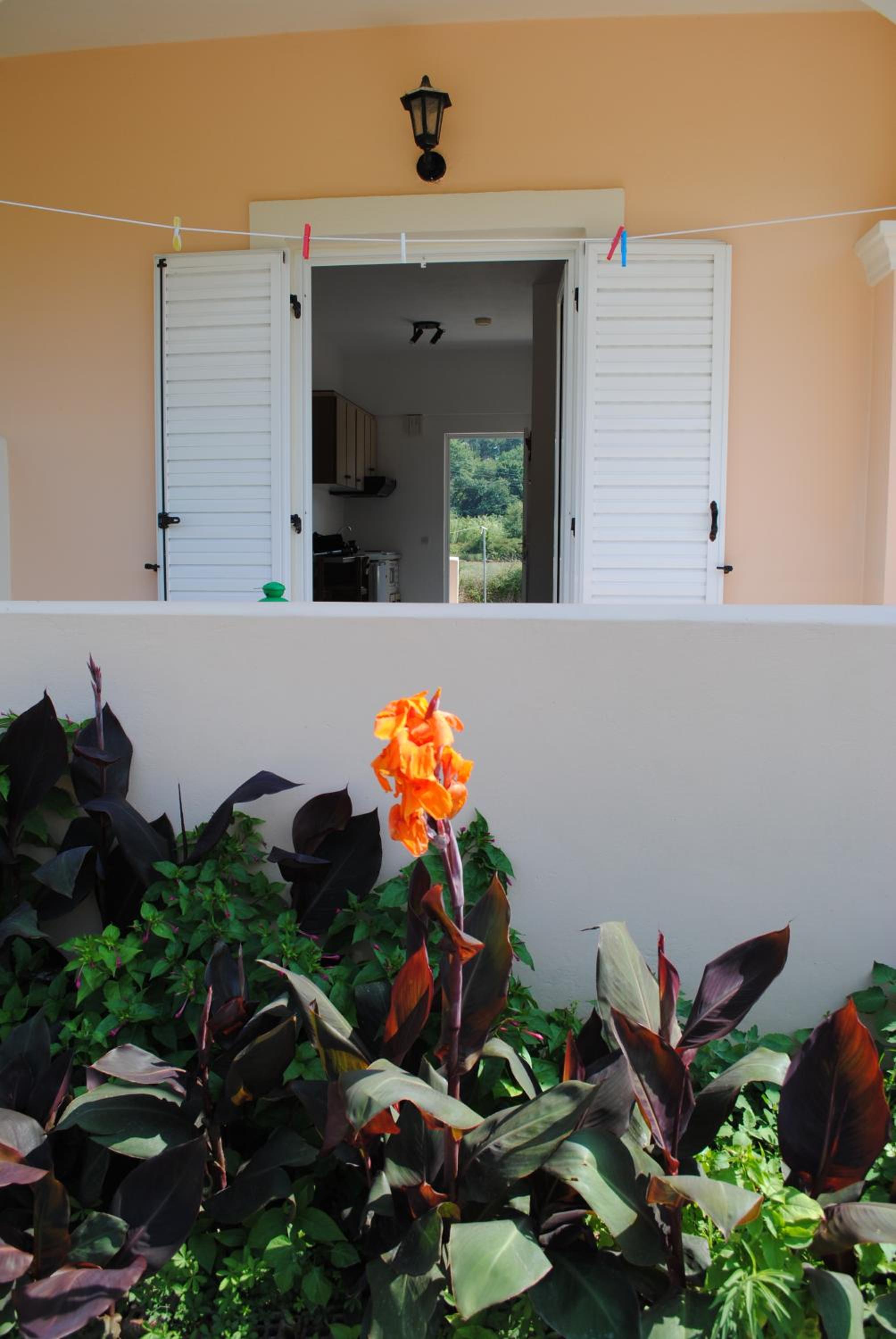 Фото Marina Studios