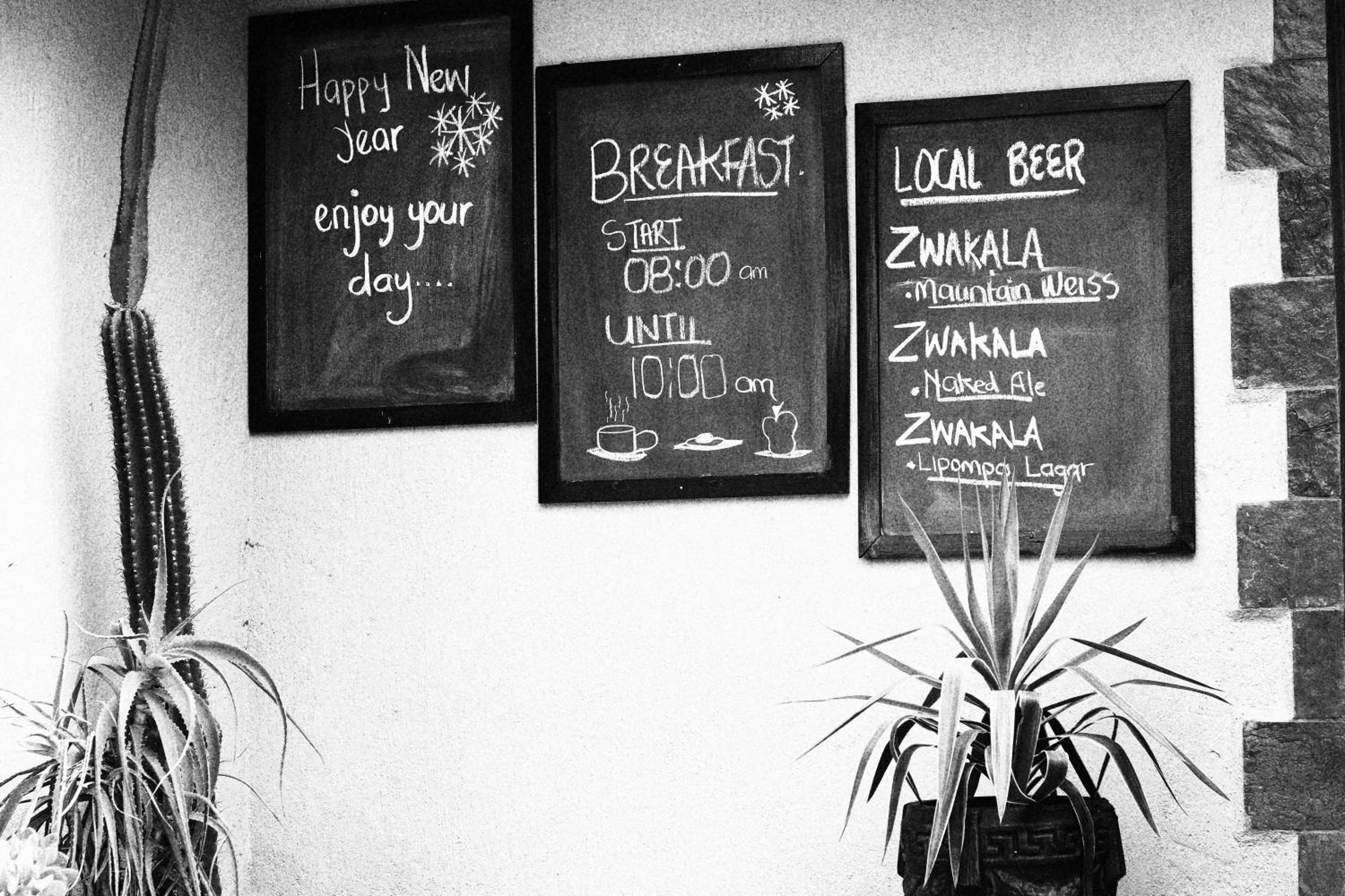 Фото African Rock Lodge