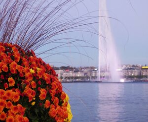 Гостиница Fraser Suites Geneva