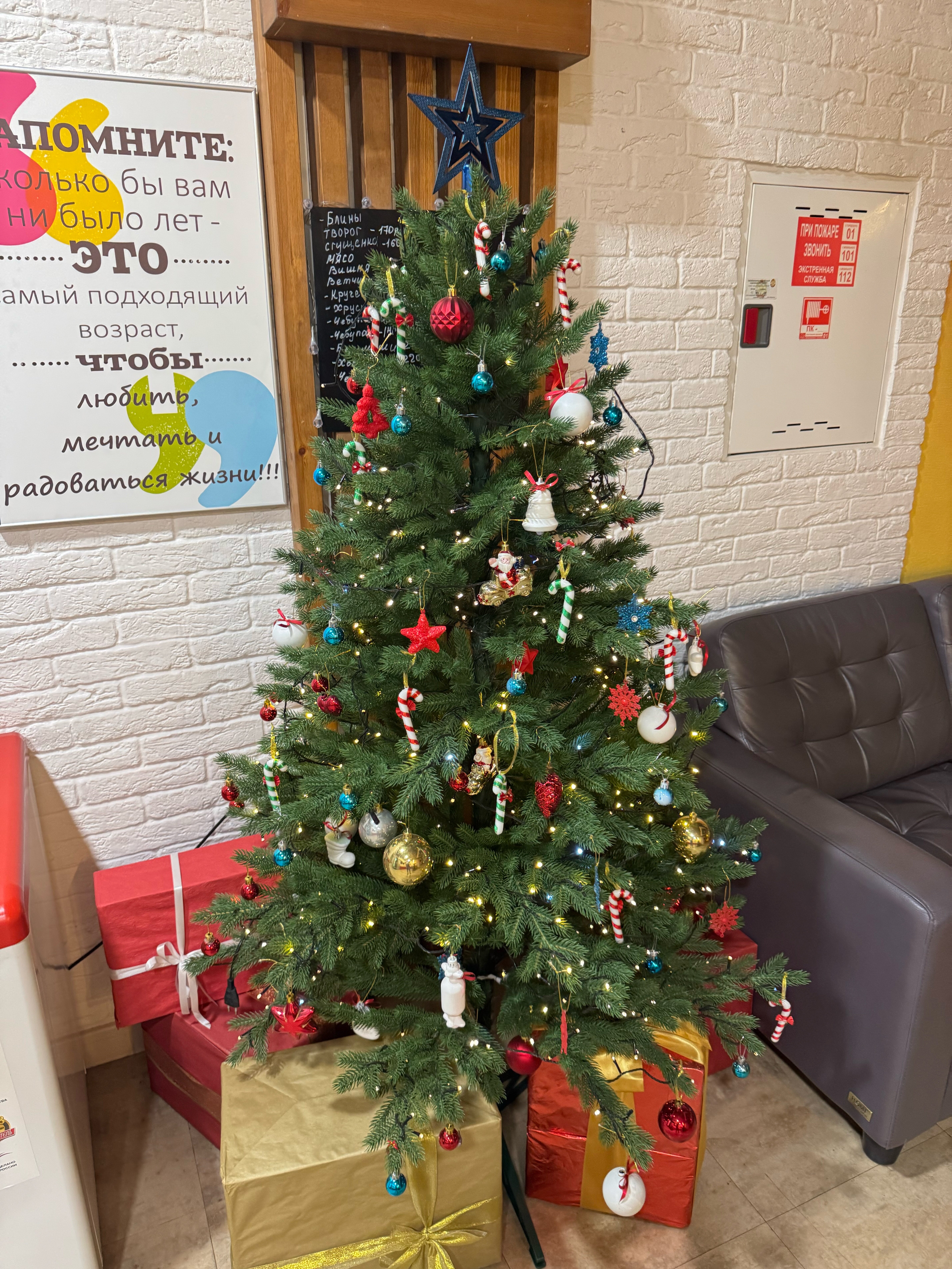 Фото Лисья нора