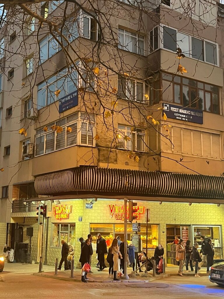 Accountants Ceyhan Kaya Financial Advisor, Izmir, photo