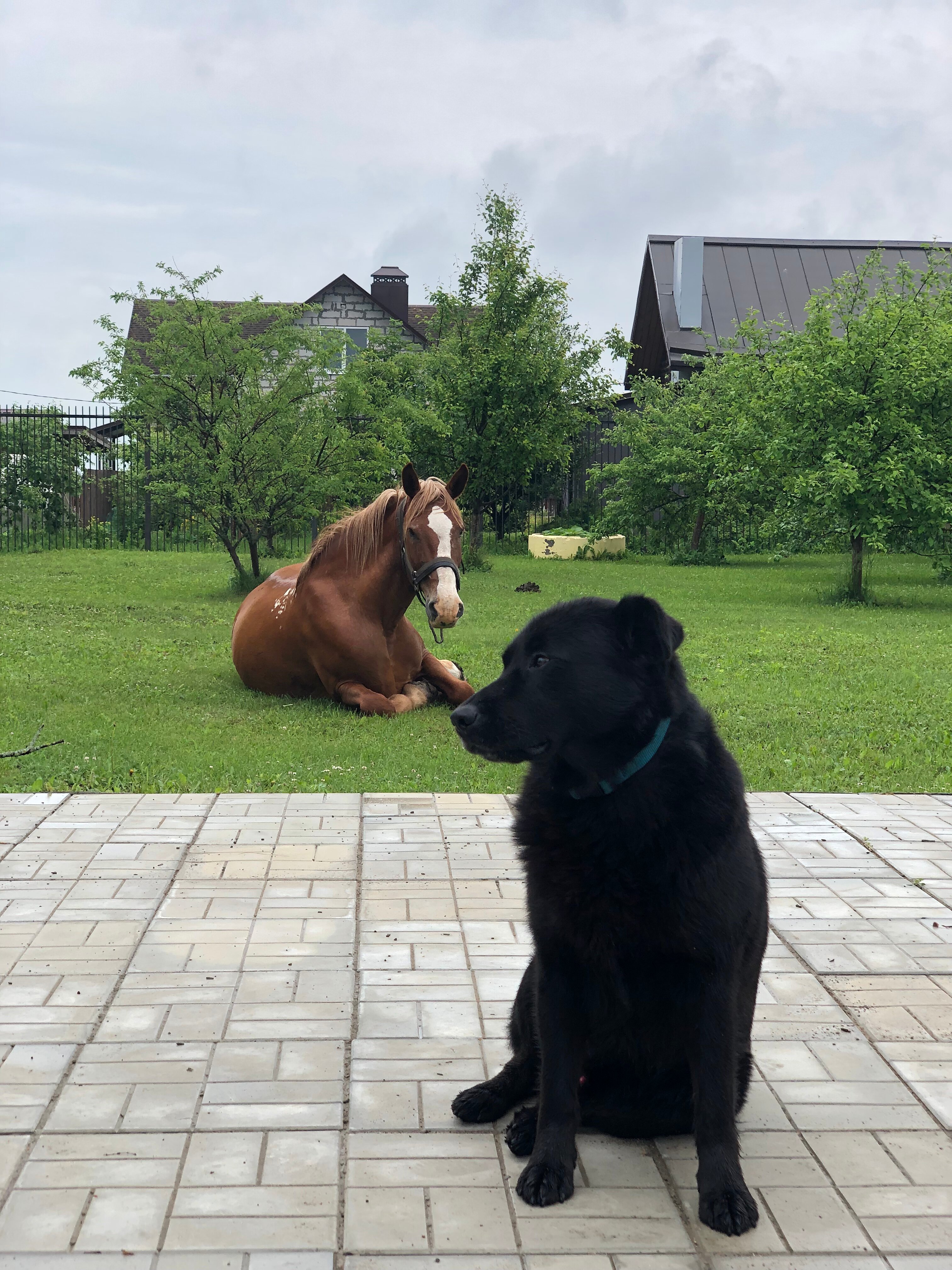 Фото Времена года