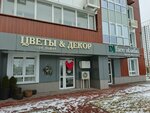 SV Buket (Ablukova Street, 16) ، محل زهور