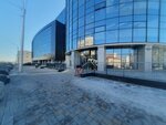 Konoplast (Zaki Validi Street, 32/2), materiales de revestimiento