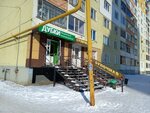 Дубки (70 Let Oktyabrya Avenue, 61), tienda de carnes, embutidos