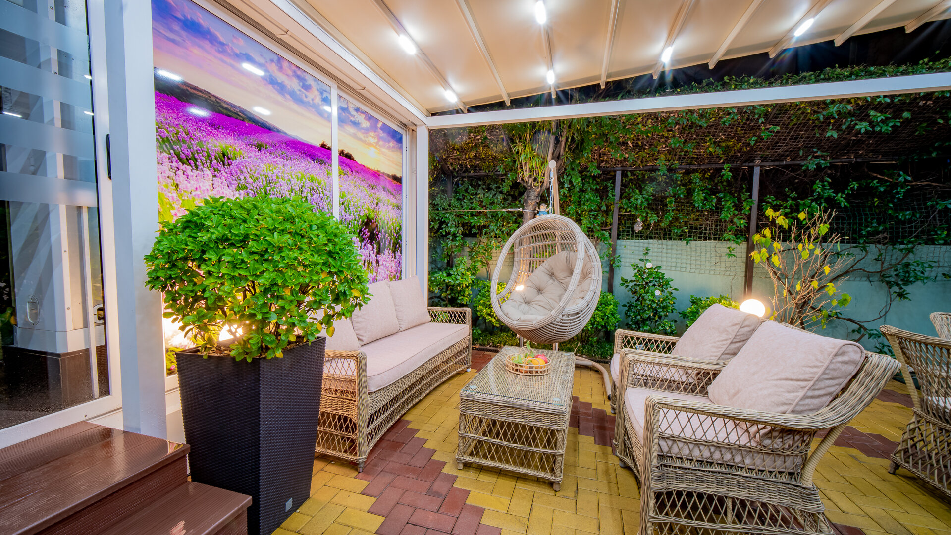 Фото Дельфин