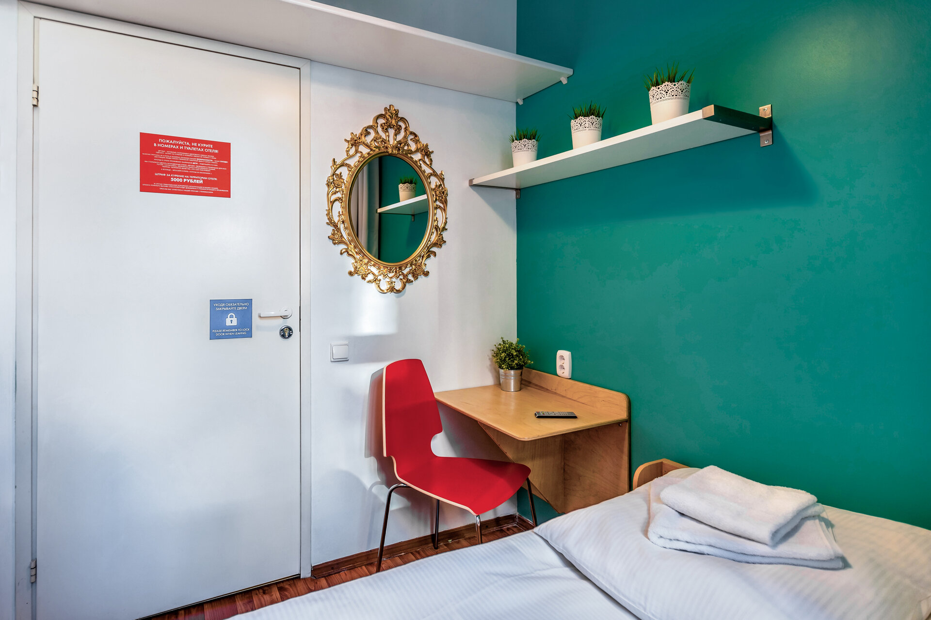 Фото Абрикос