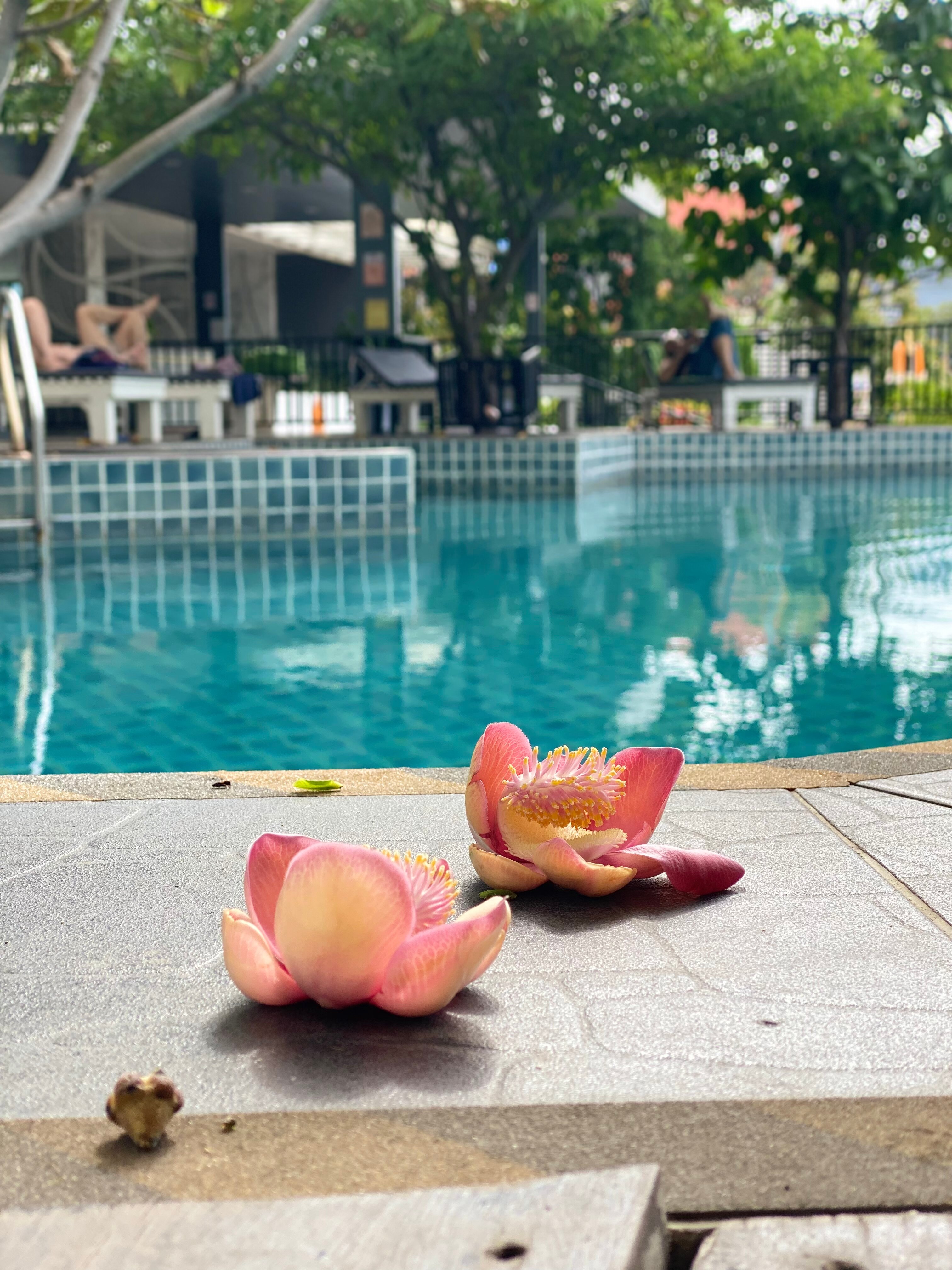 Фото P Plus Hotel