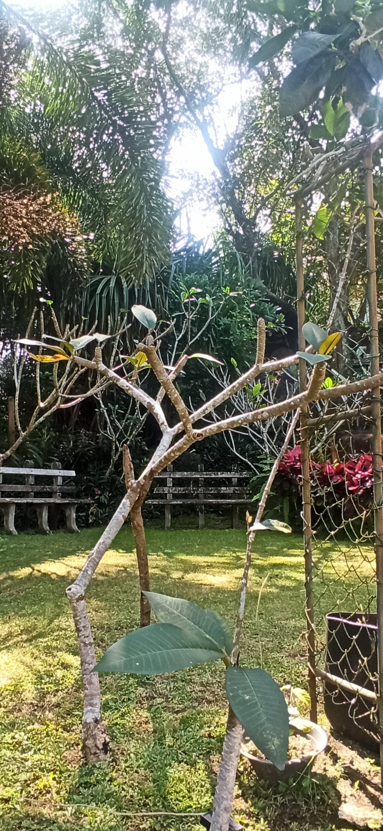 Фото Villa Baywatch Rumassala