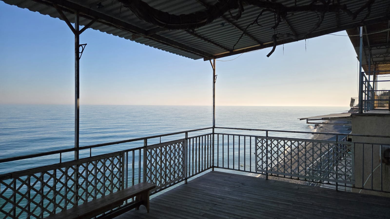 Фото Горная лаванда