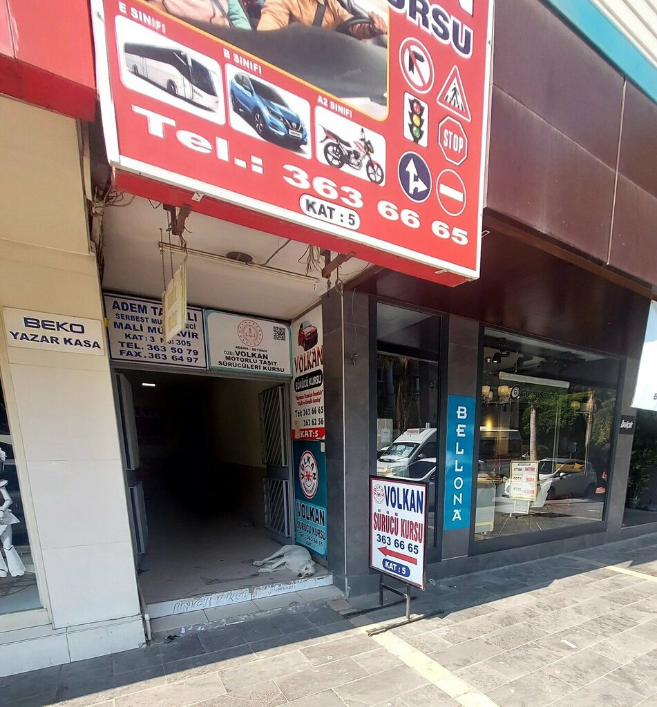 Hairdresser Nilufer, Adana, photo