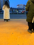Зеленоградск - Улица Тургенева (Kaliningrad Region, Zelenogradsk, ulitsa Turgeneva), public transport stop