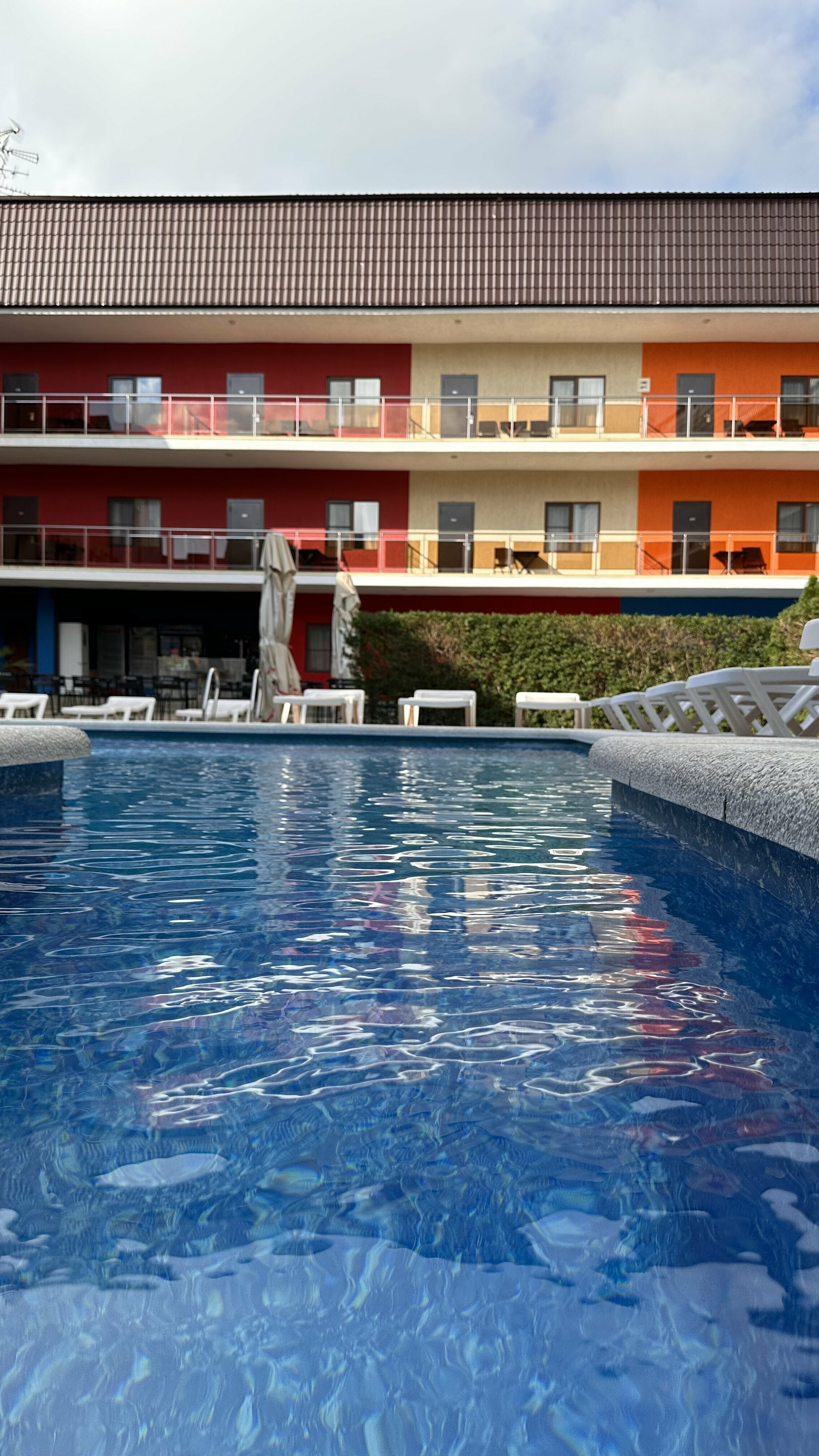 Фото Анести